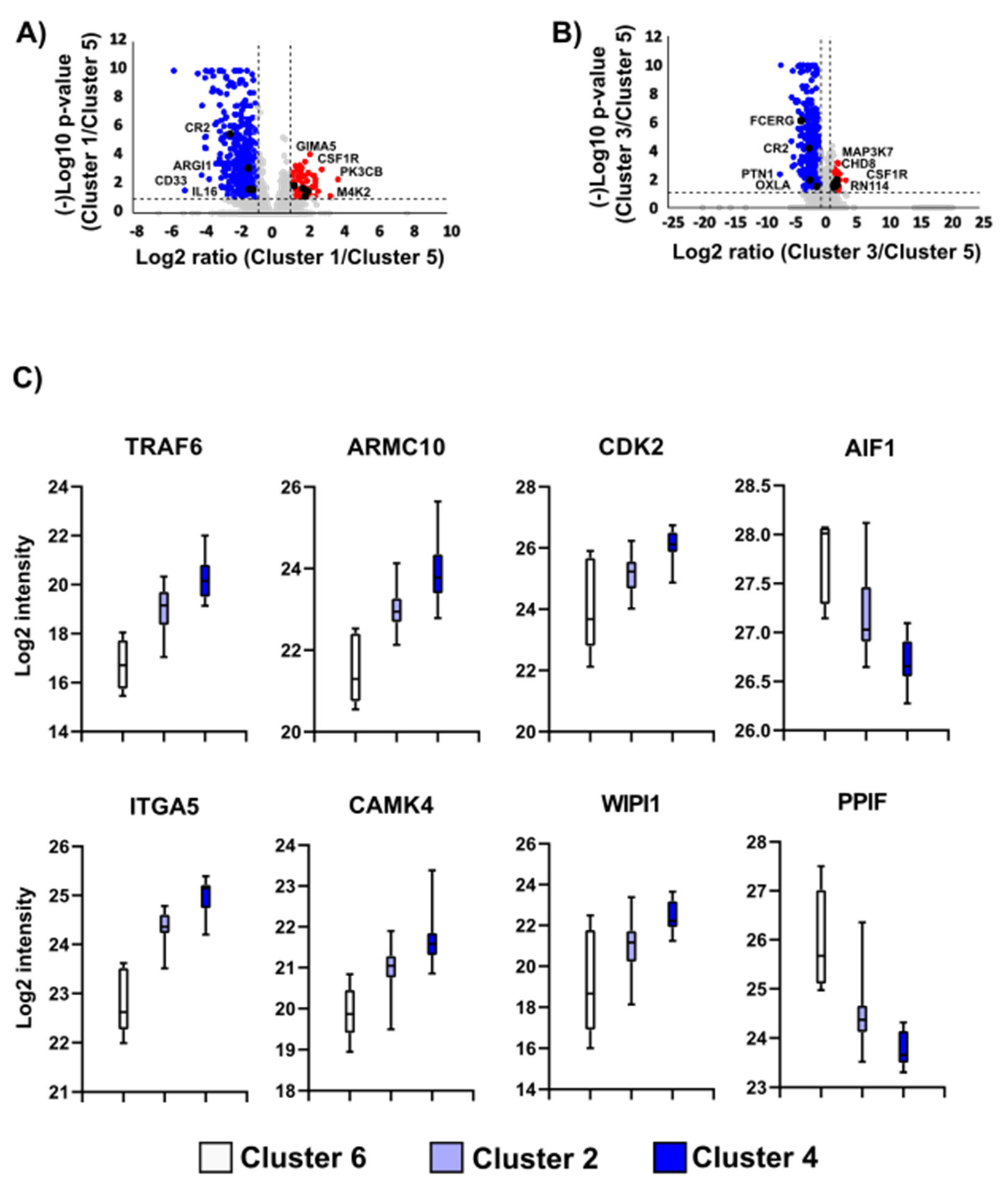 Cancers 13 06105 g004