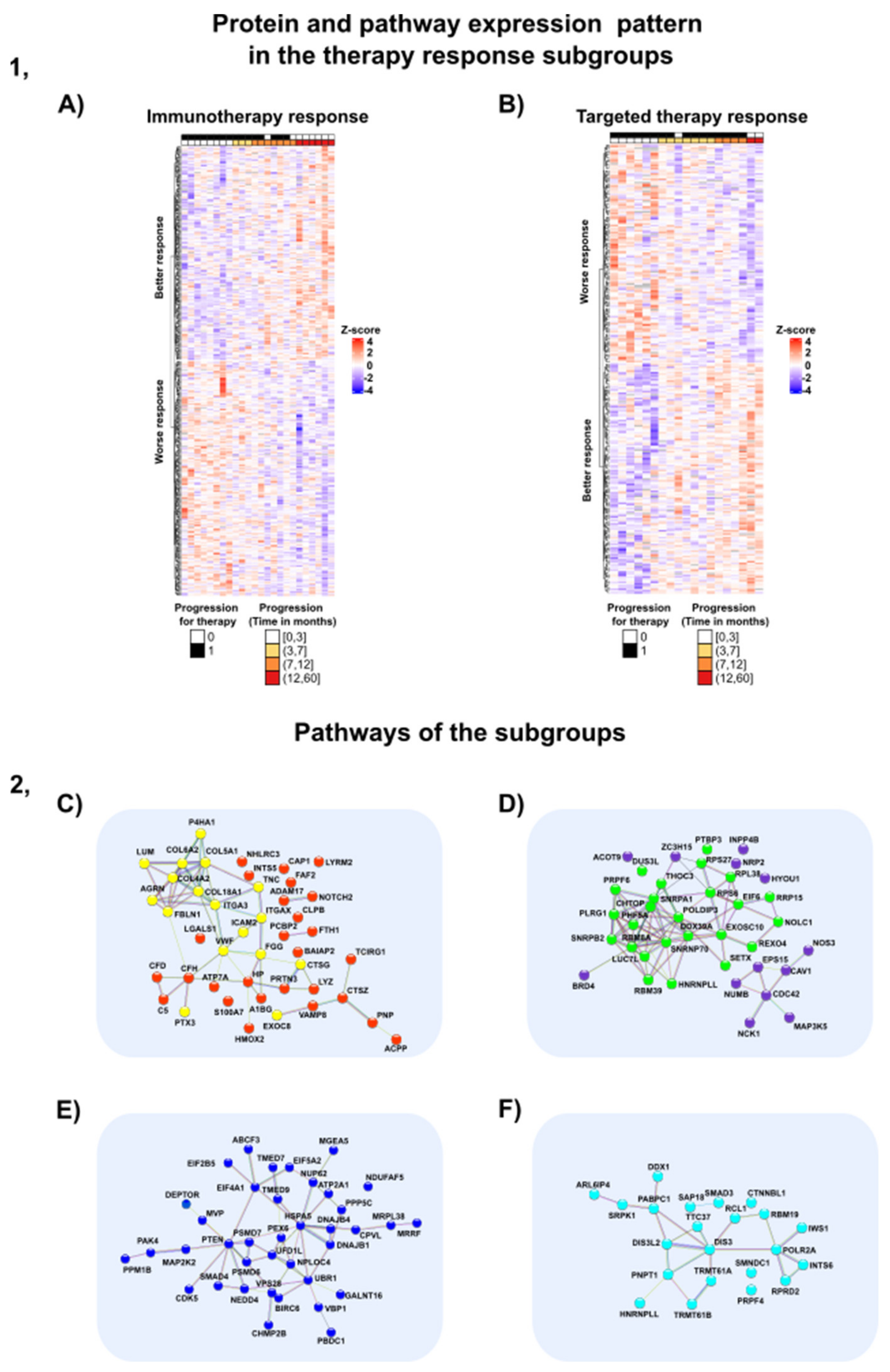 Cancers 13 06105 g006