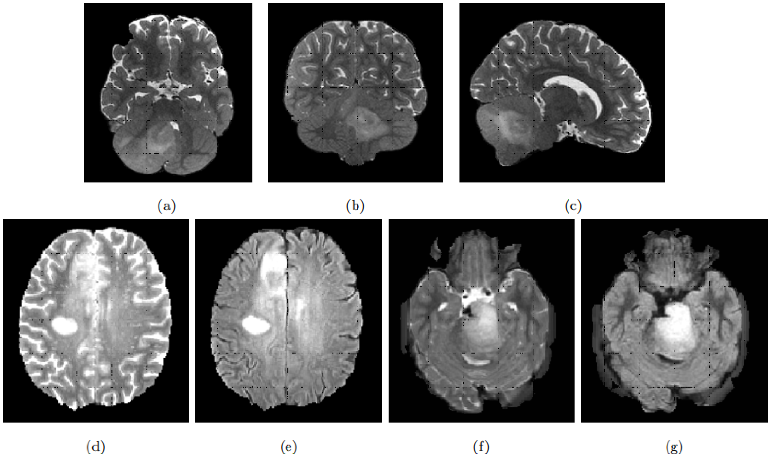 Cancers 13 06113 g001