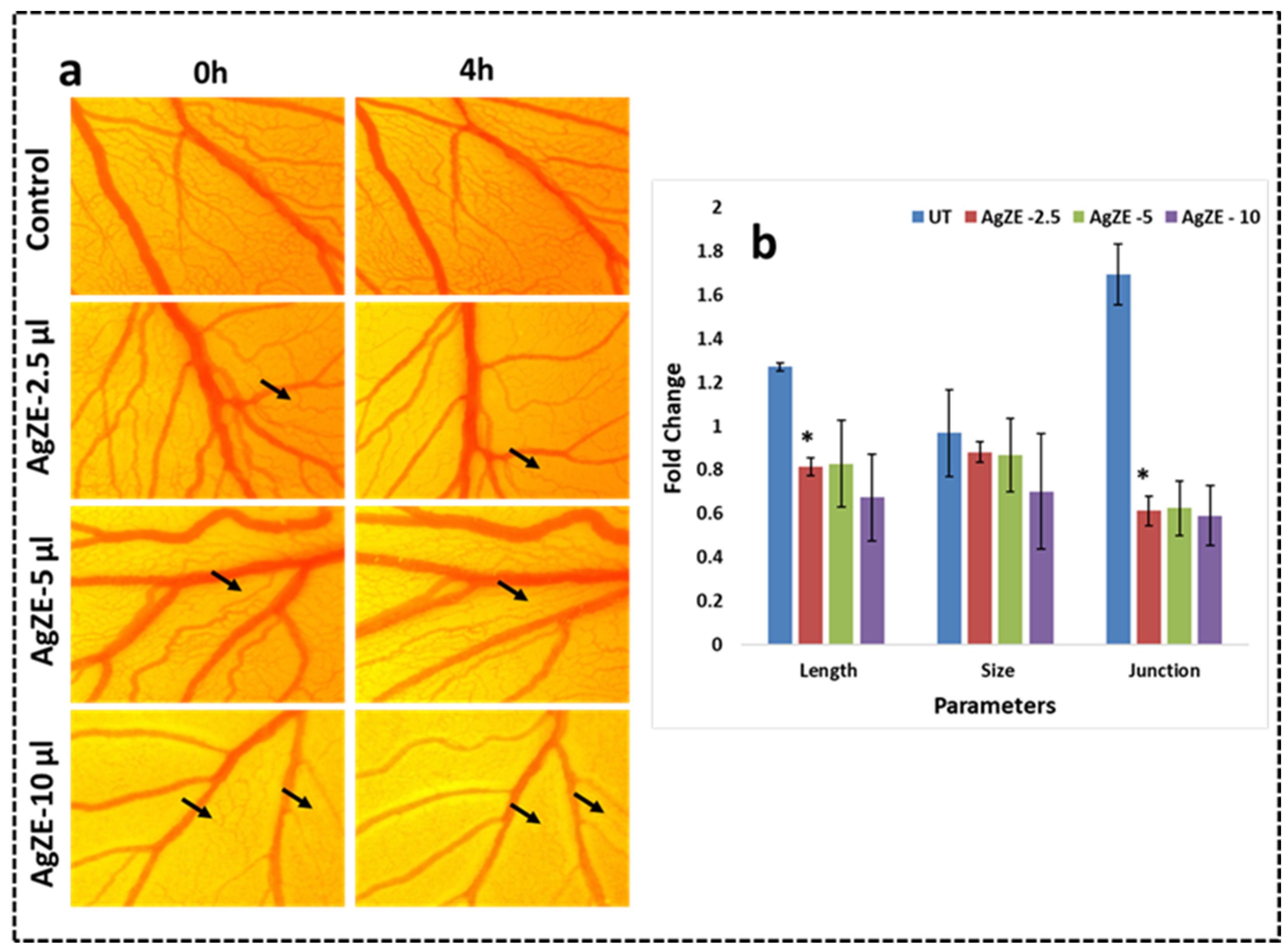 Cancers 13 06114 g009