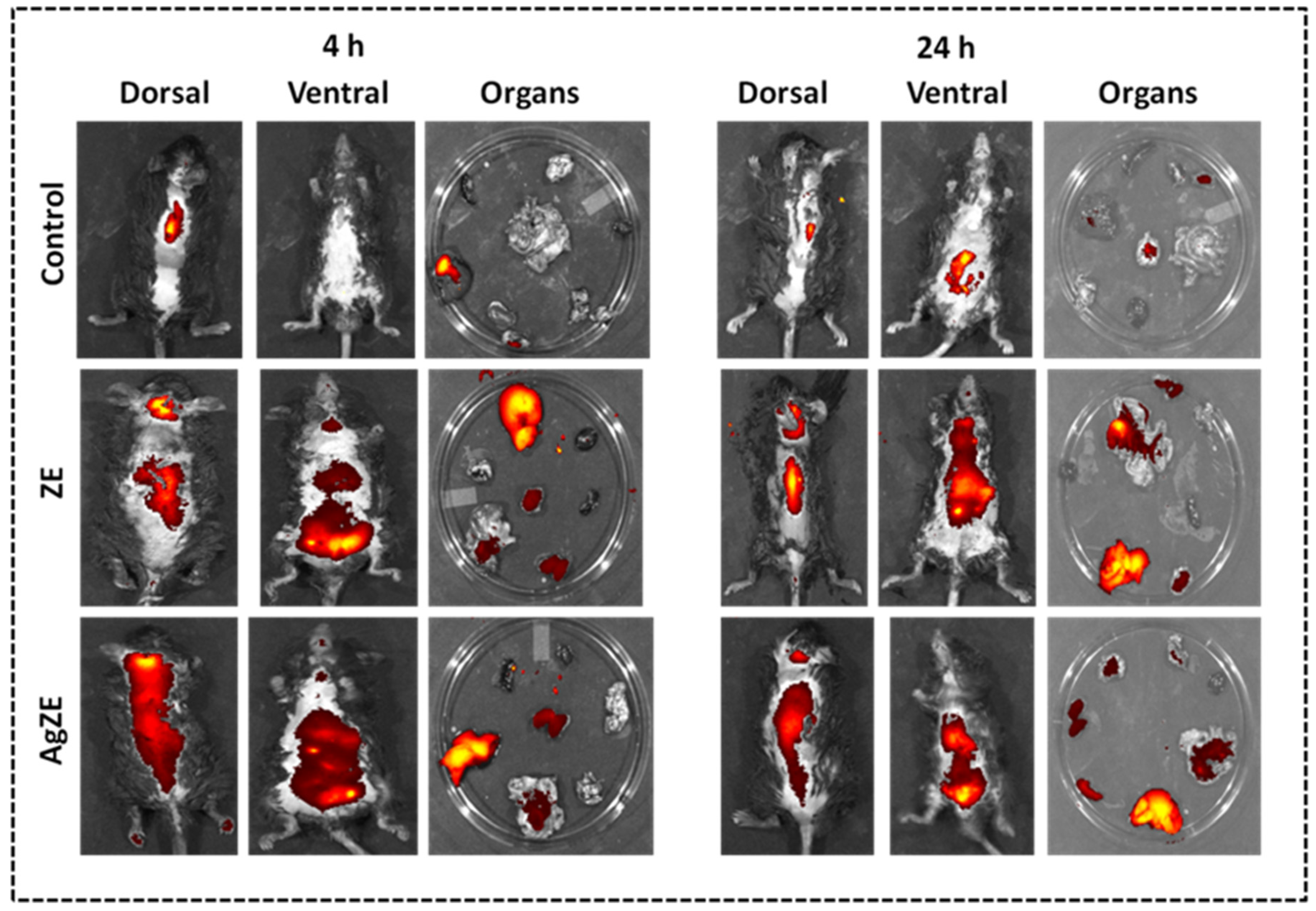 Cancers 13 06114 g010