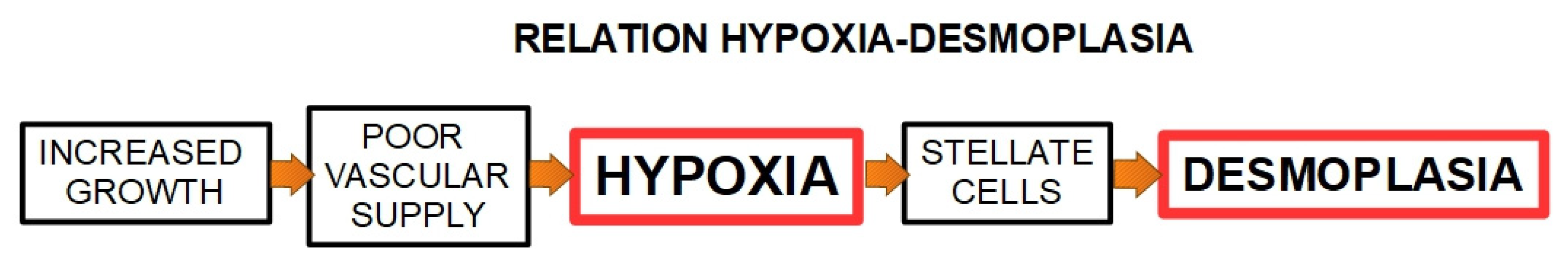 Cancers 13 06135 g006