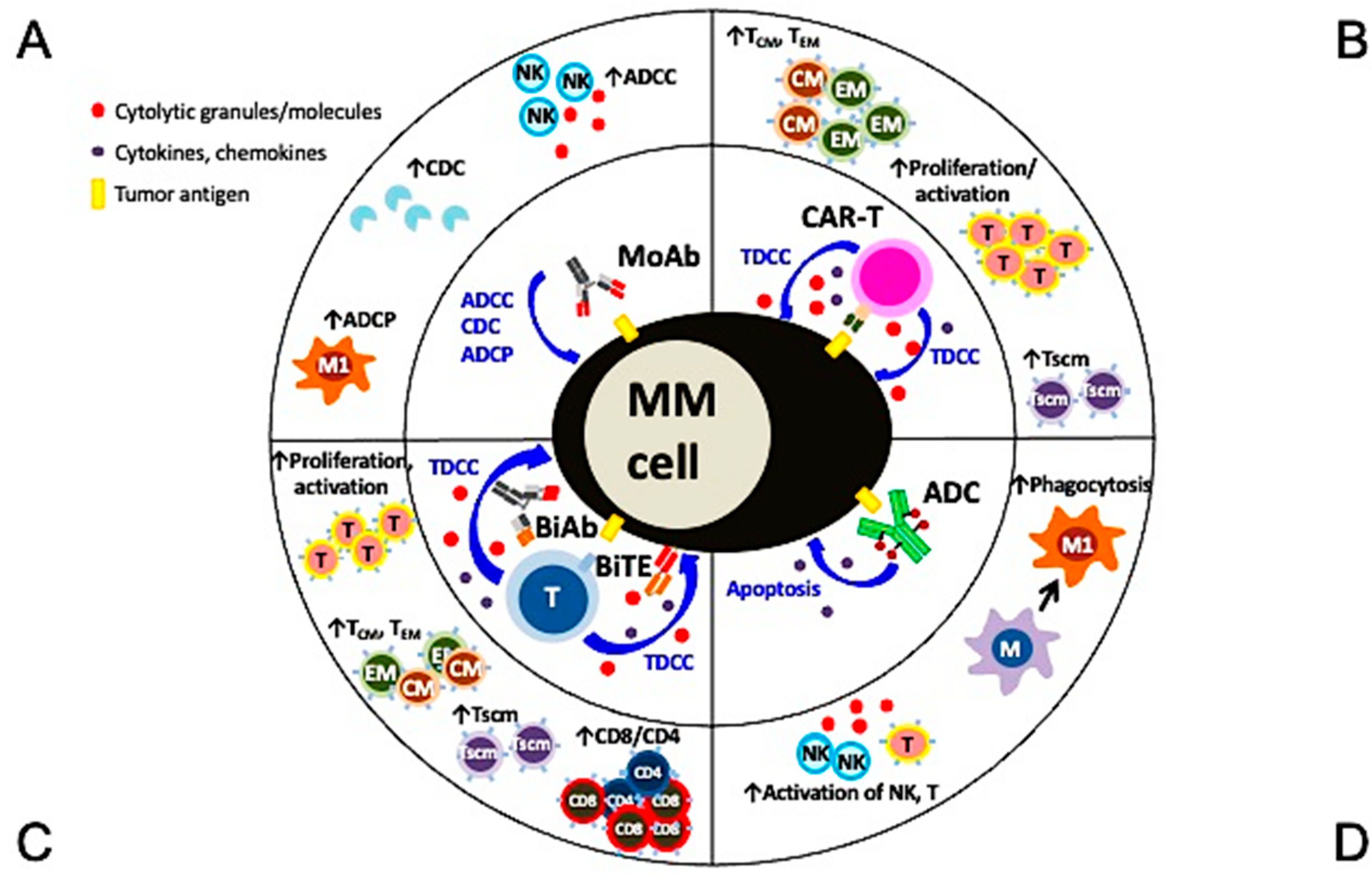 Cancers 13 06136 g002