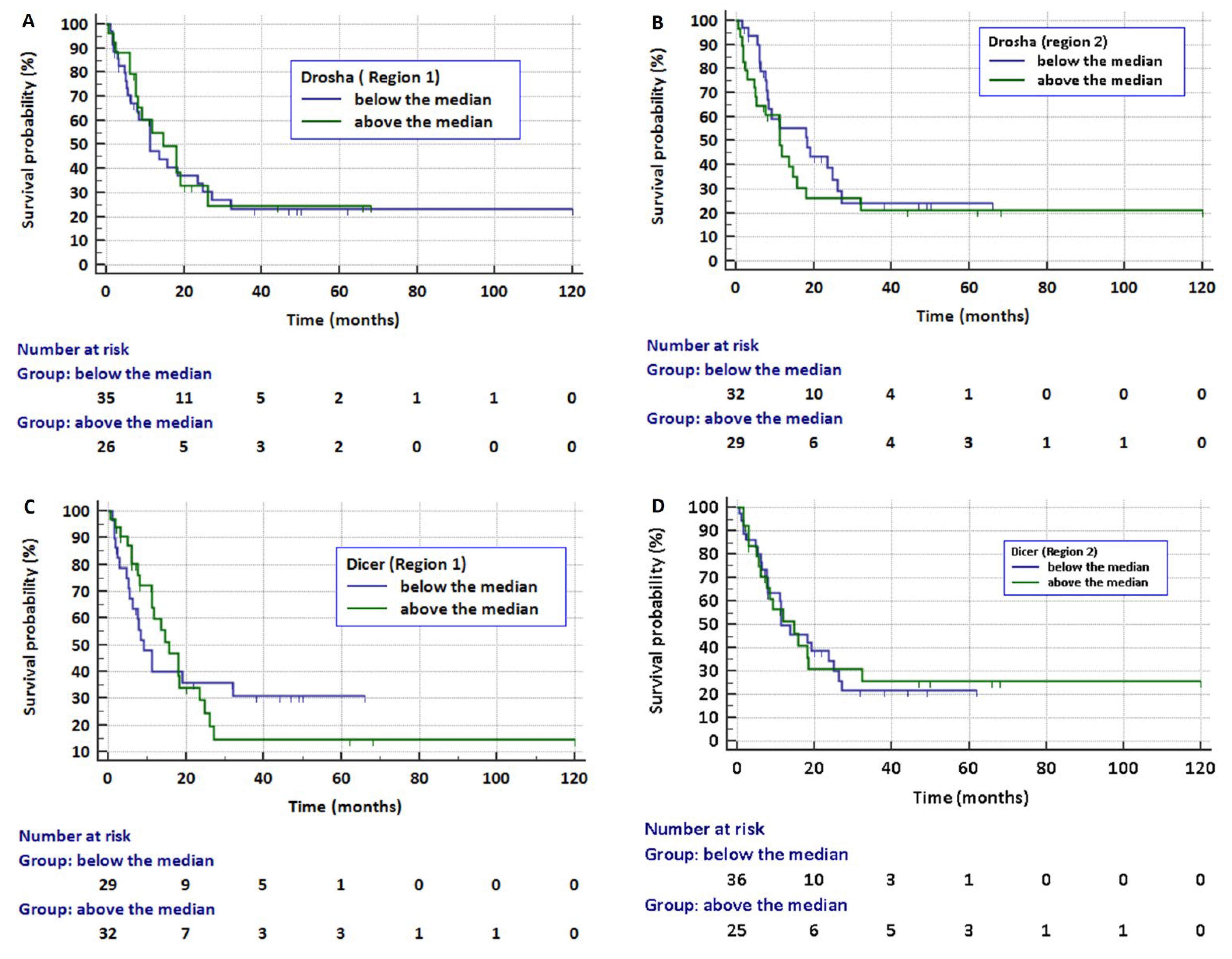 Cancers 13 06139 g005
