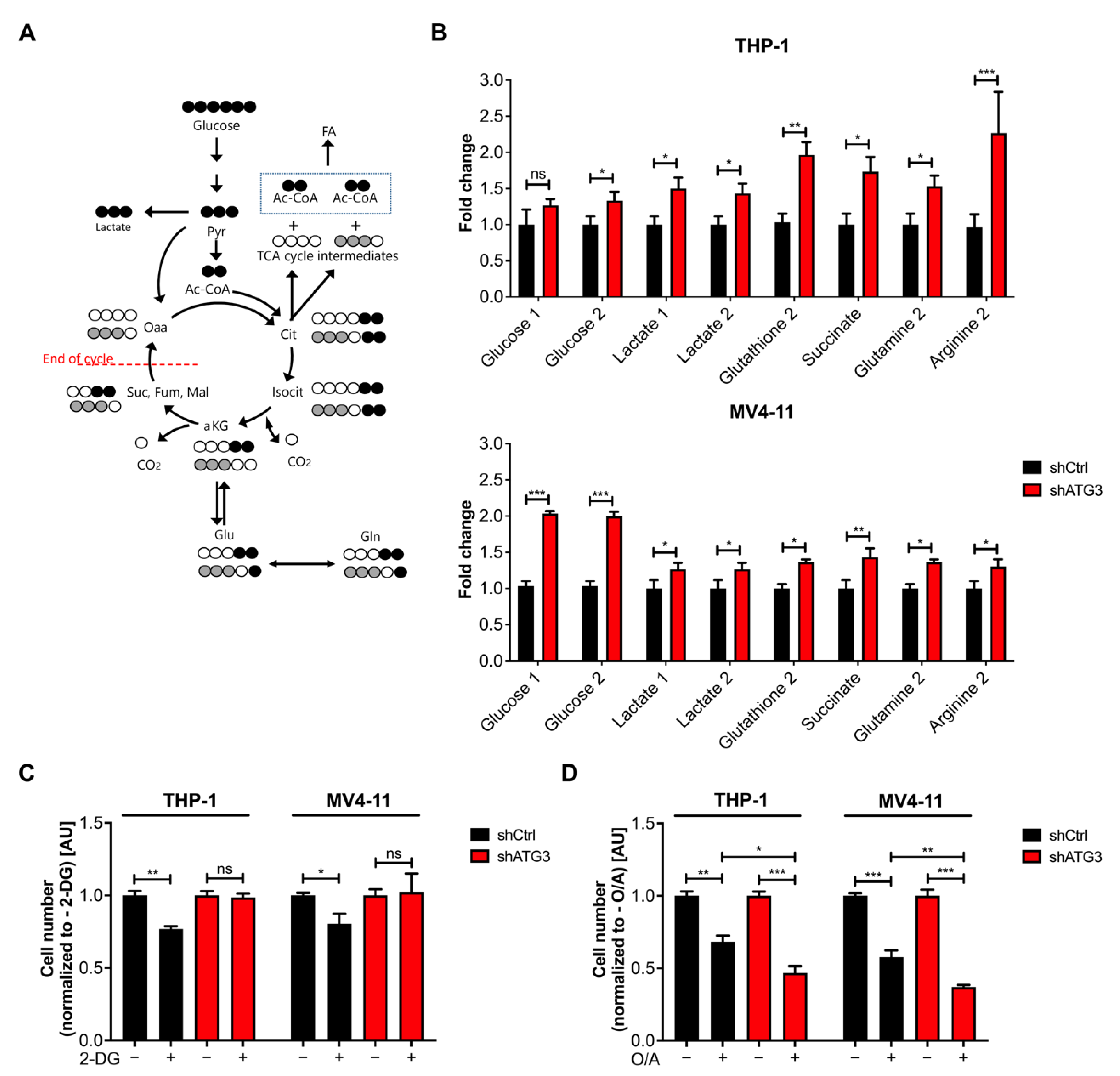 Cancers 13 06142 g005