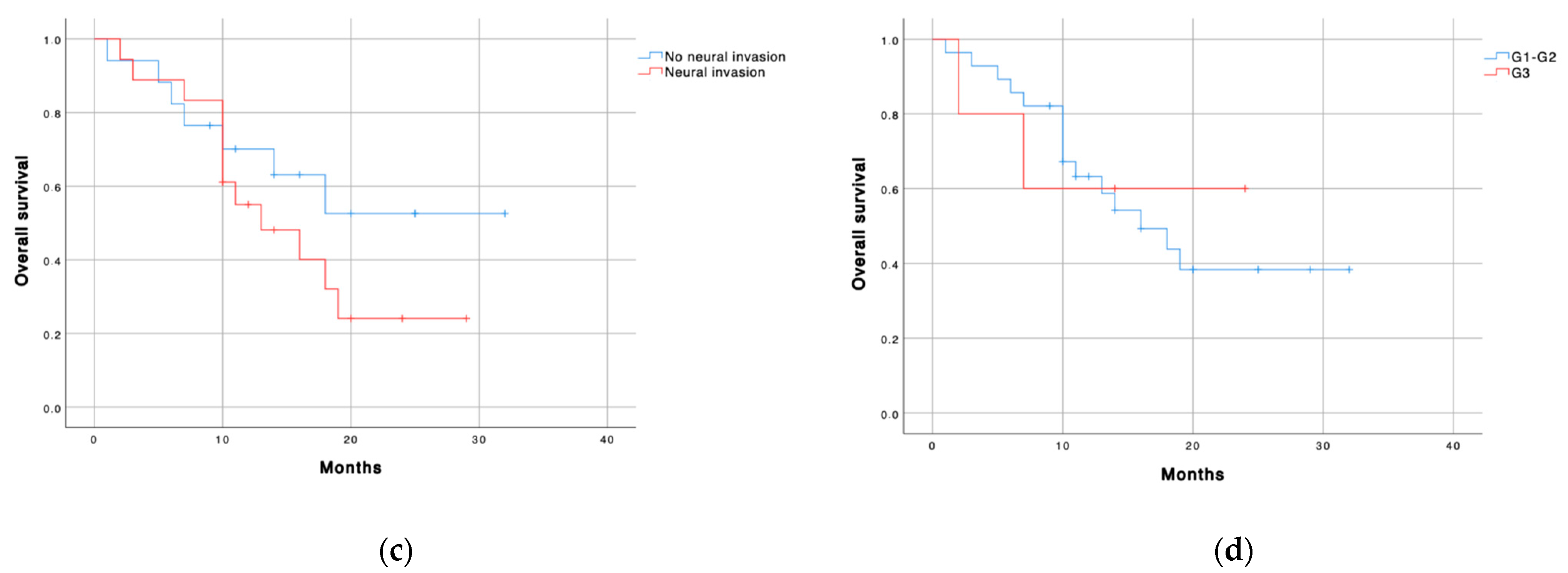 Cancers 13 06153 g003b