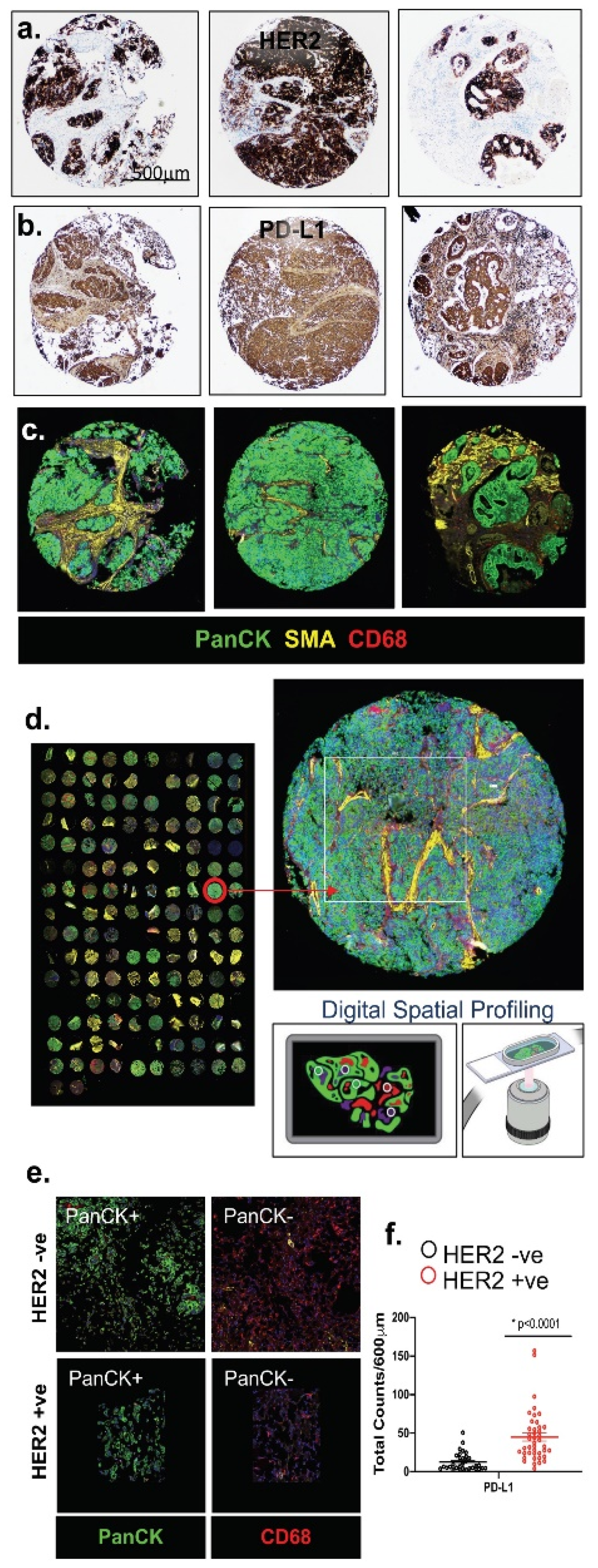 Cancers 13 06158 g001