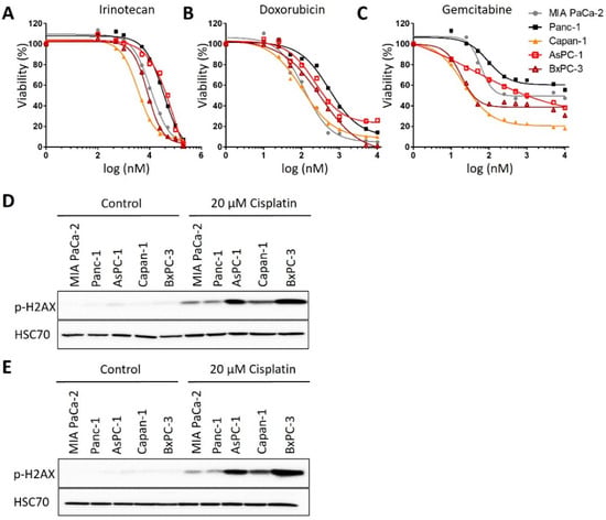 Cancers 13 06163 g0a1 550