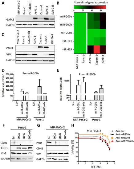 Cancers 13 06163 g0a2 550