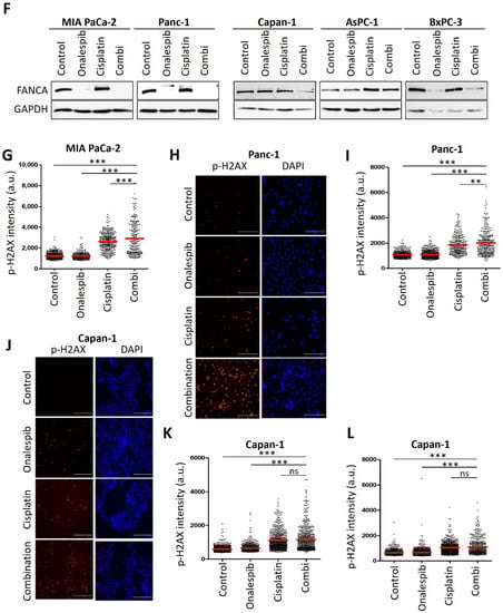 Cancers 13 06163 g0a3b 550