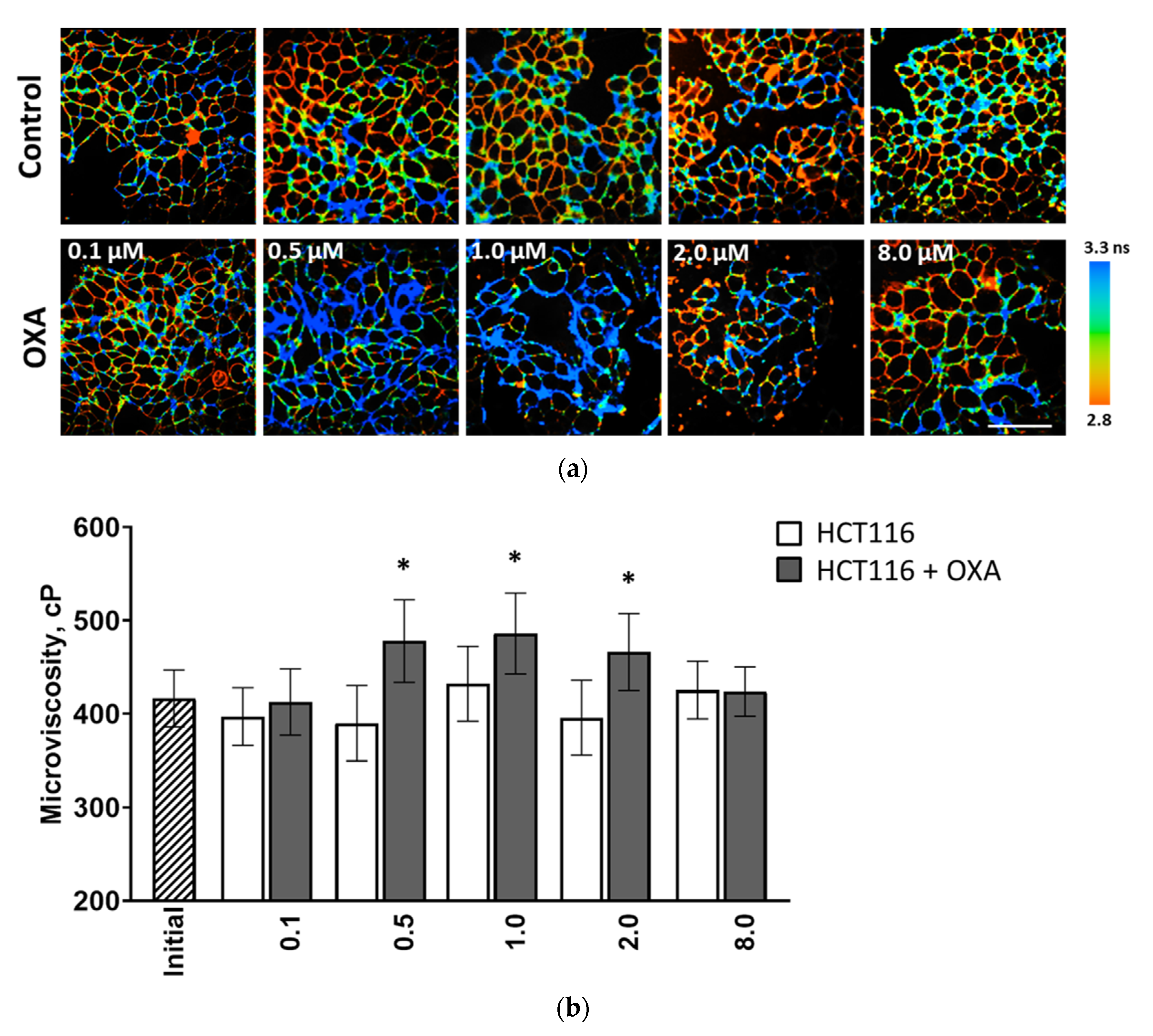 Cancers 13 06165 g001