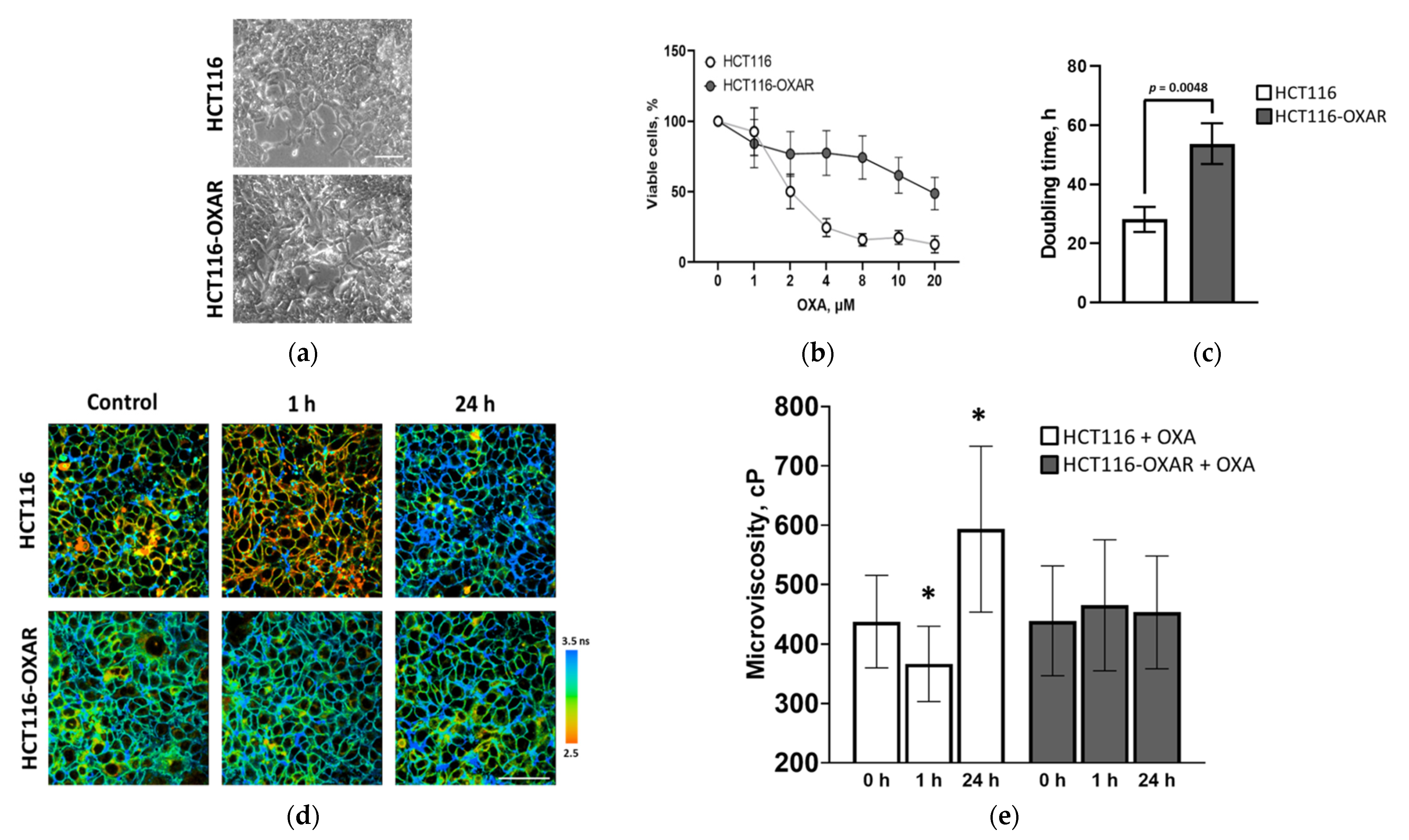 Cancers 13 06165 g003