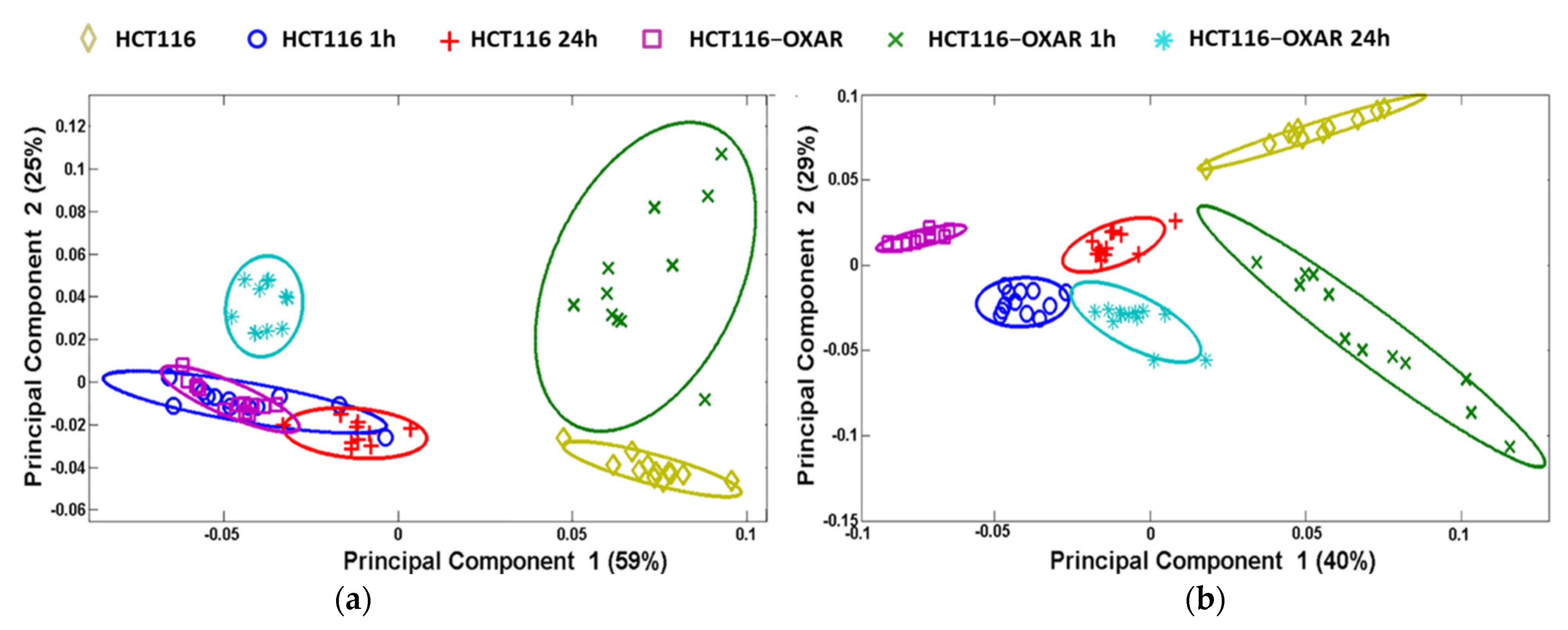 Cancers 13 06165 g005