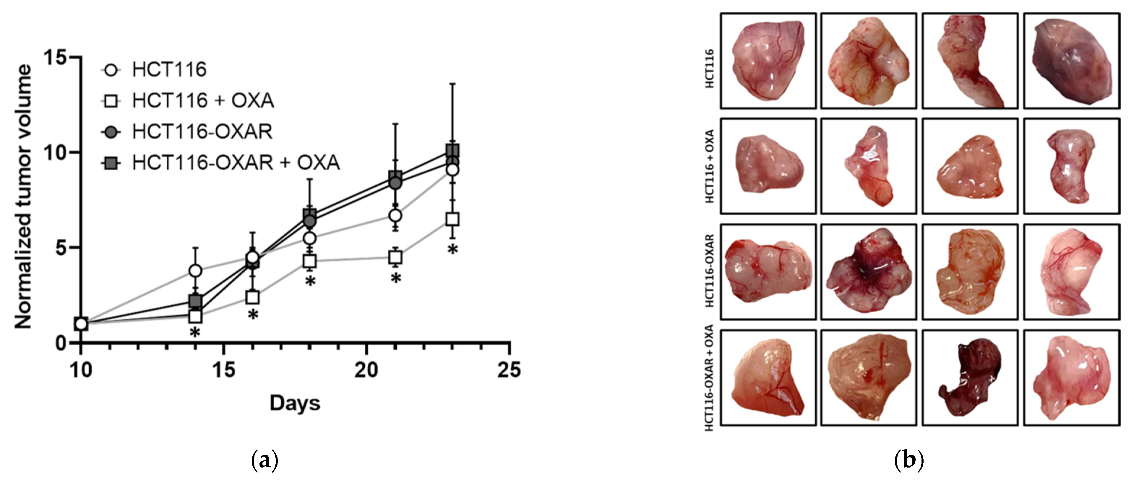 Cancers 13 06165 g006a