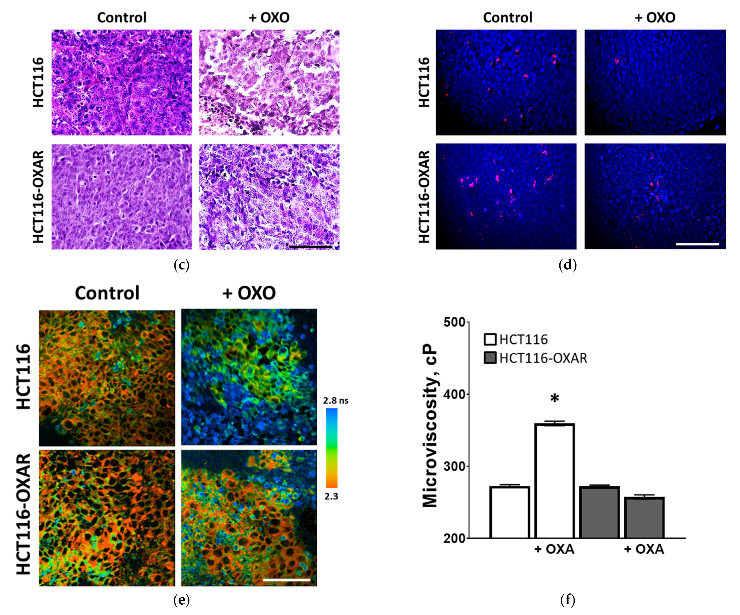 Cancers 13 06165 g006b