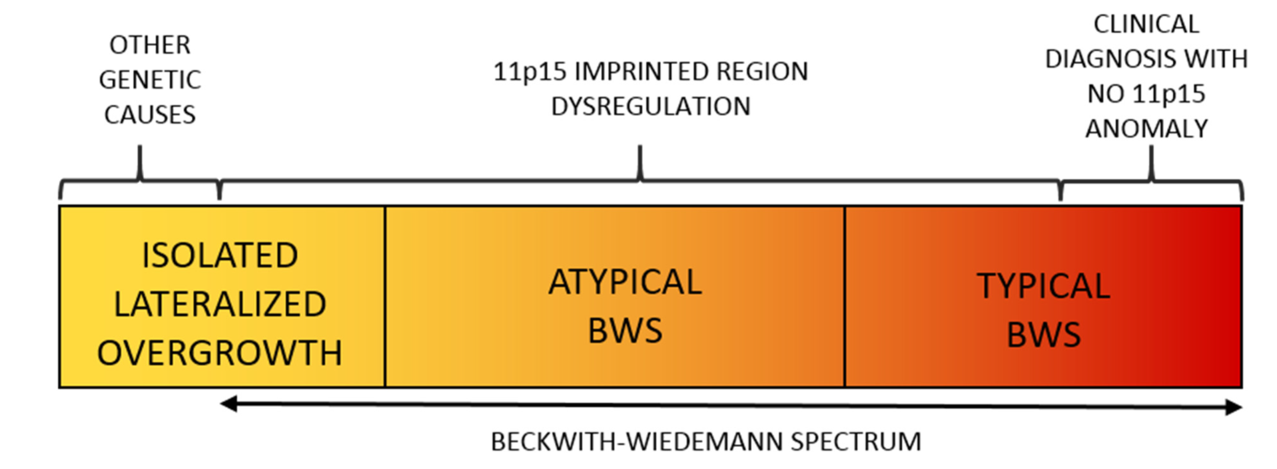 Cancers 13 06166 g001