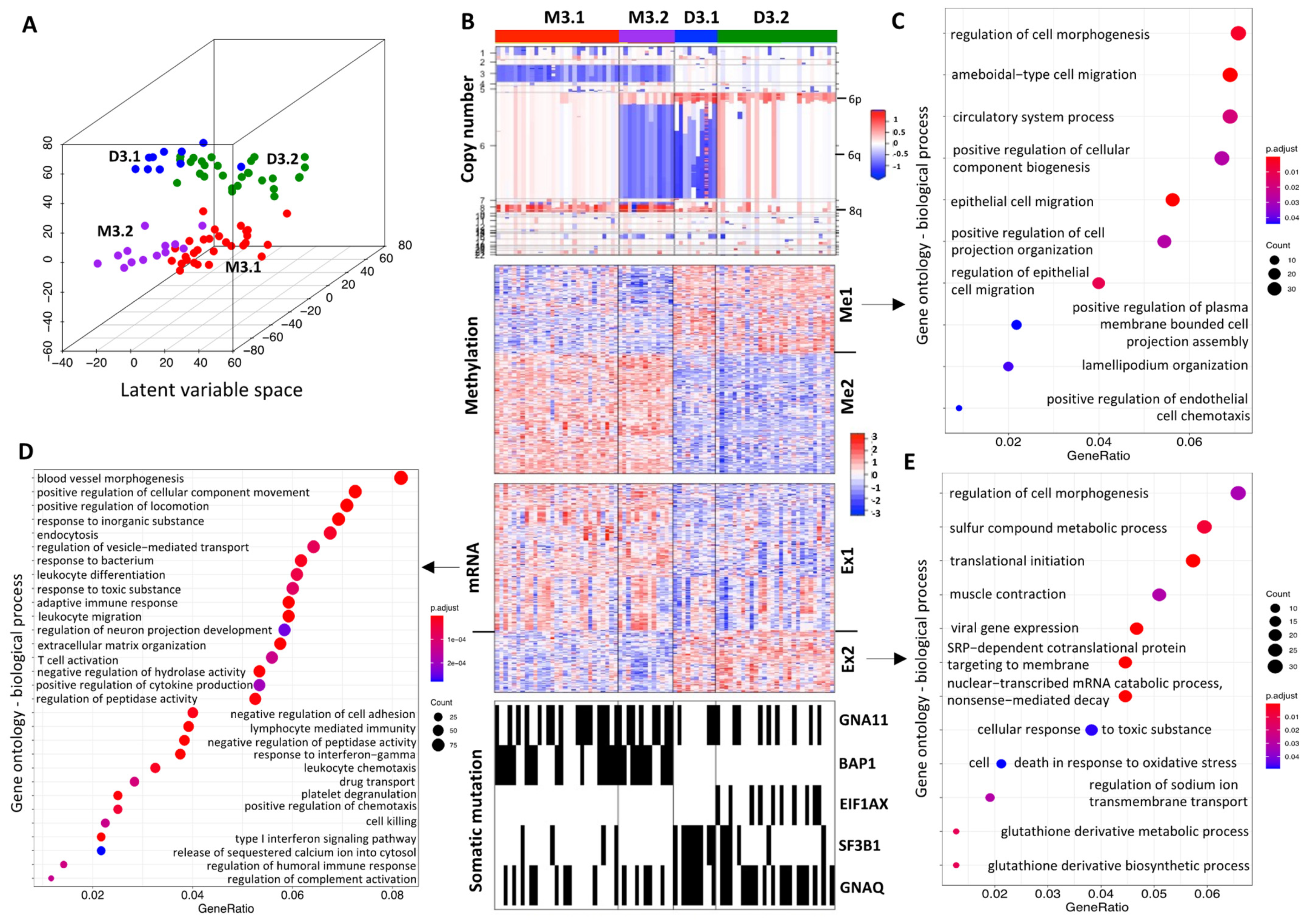 Cancers 13 06168 g001