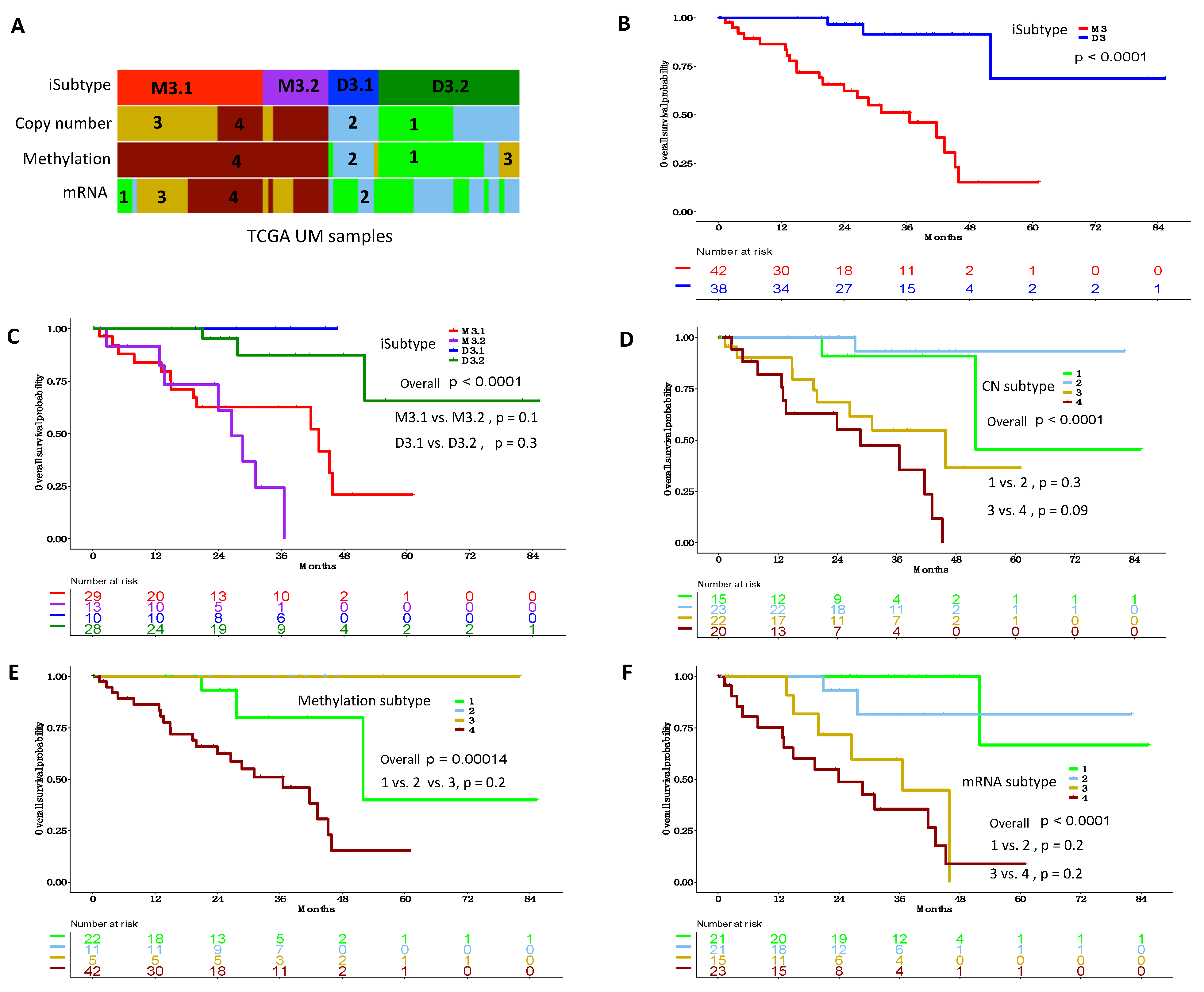 Cancers 13 06168 g002