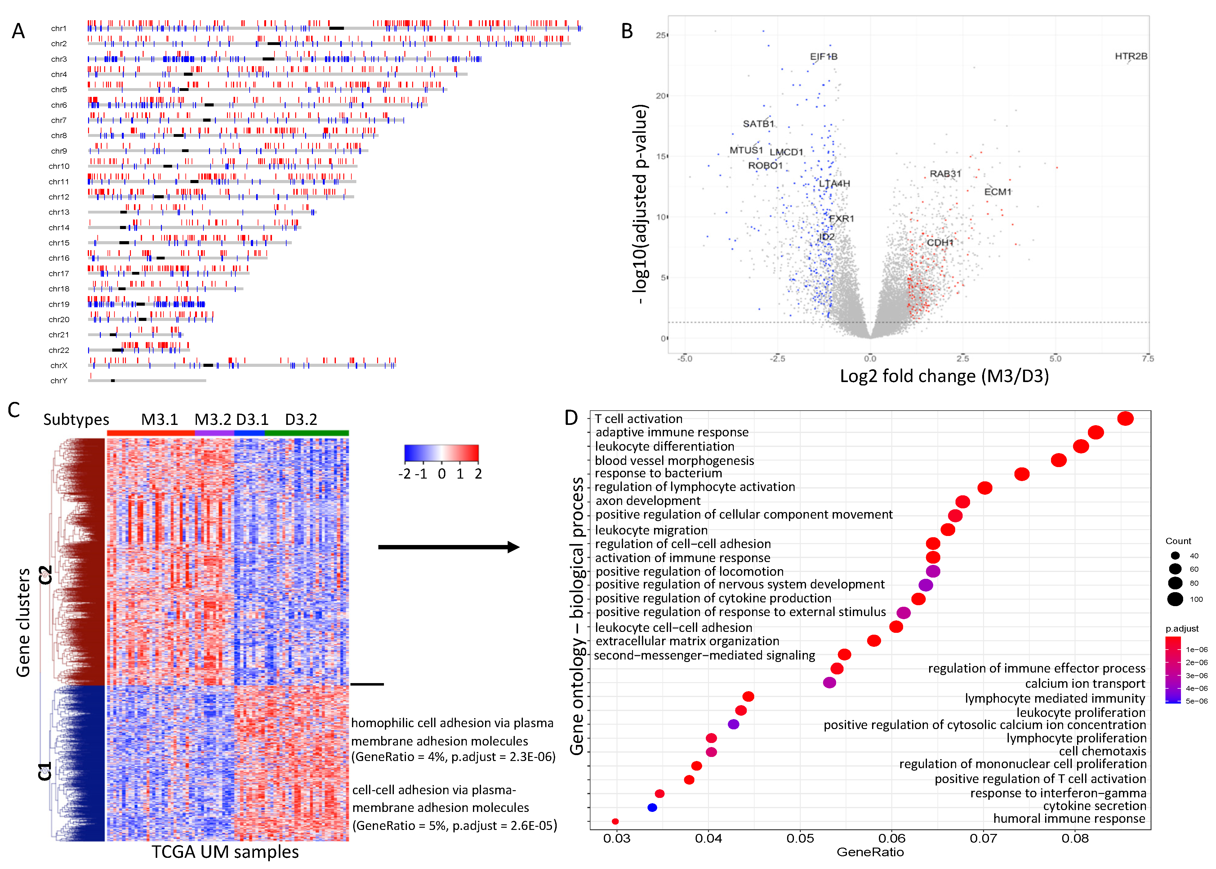 Cancers 13 06168 g004