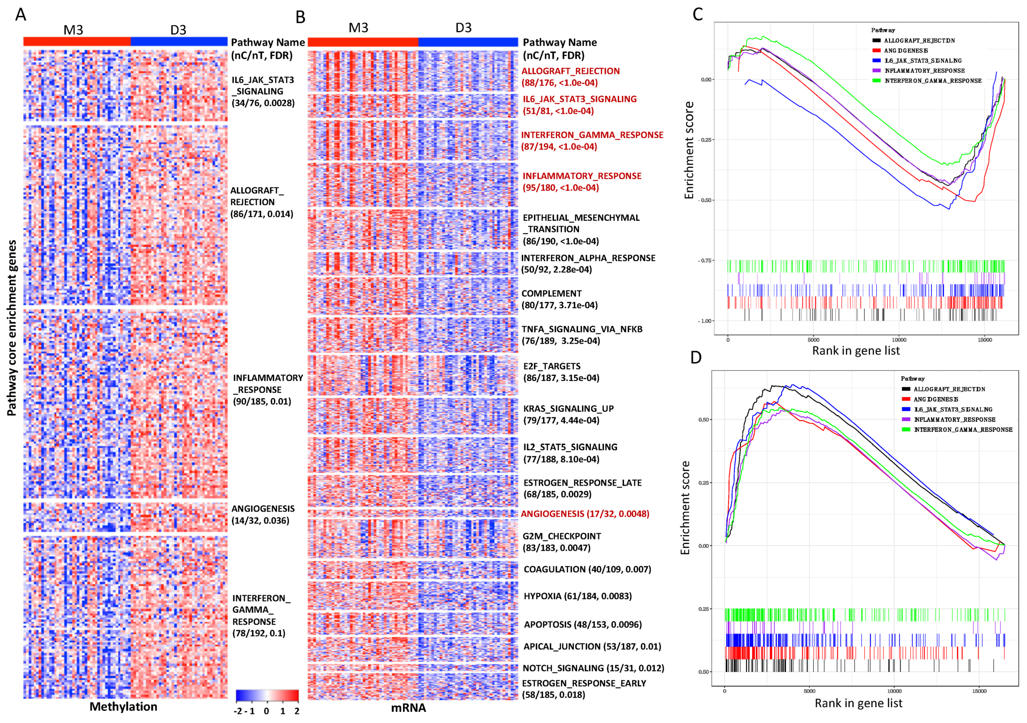 Cancers 13 06168 g005