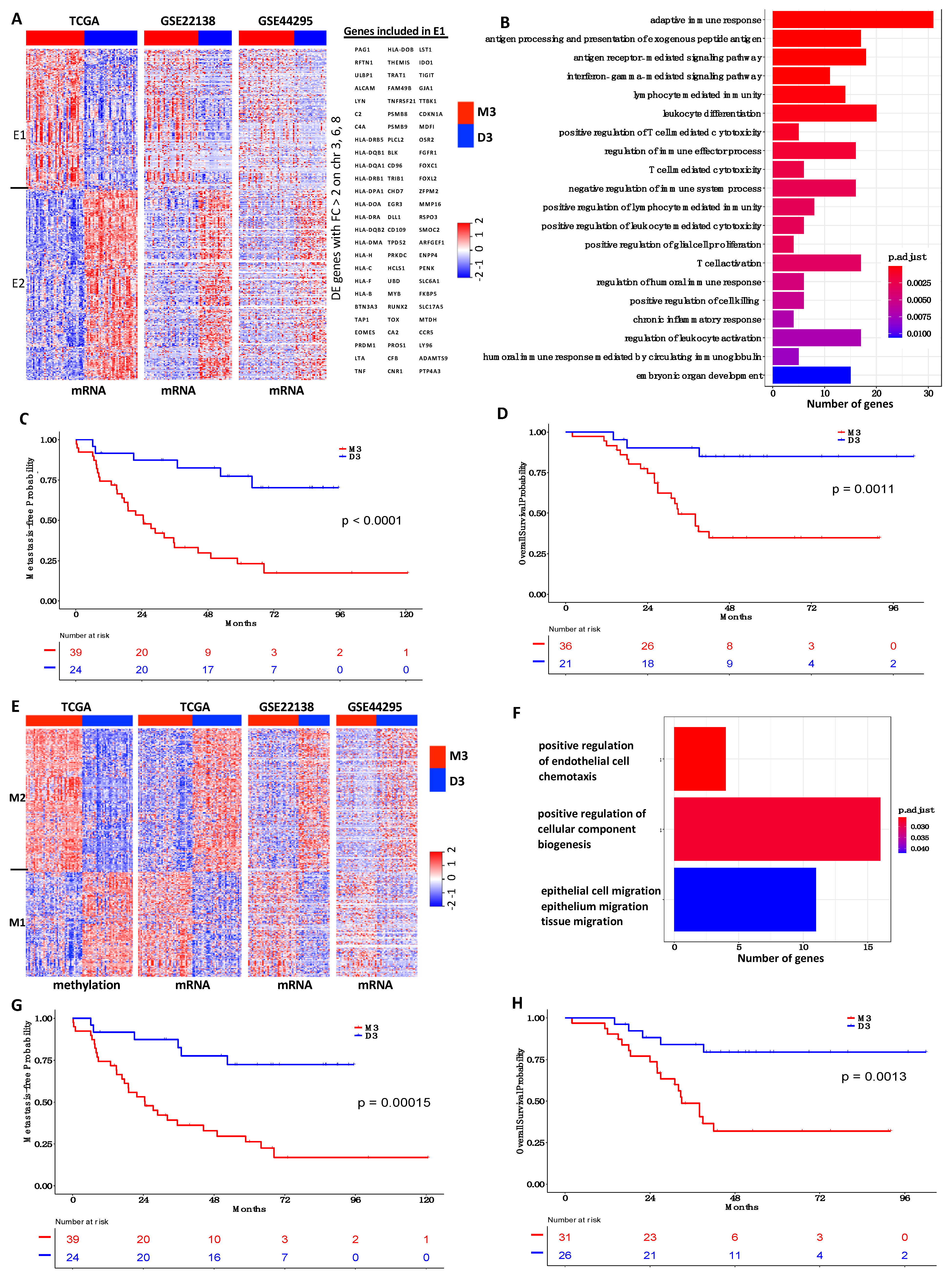 Cancers 13 06168 g006