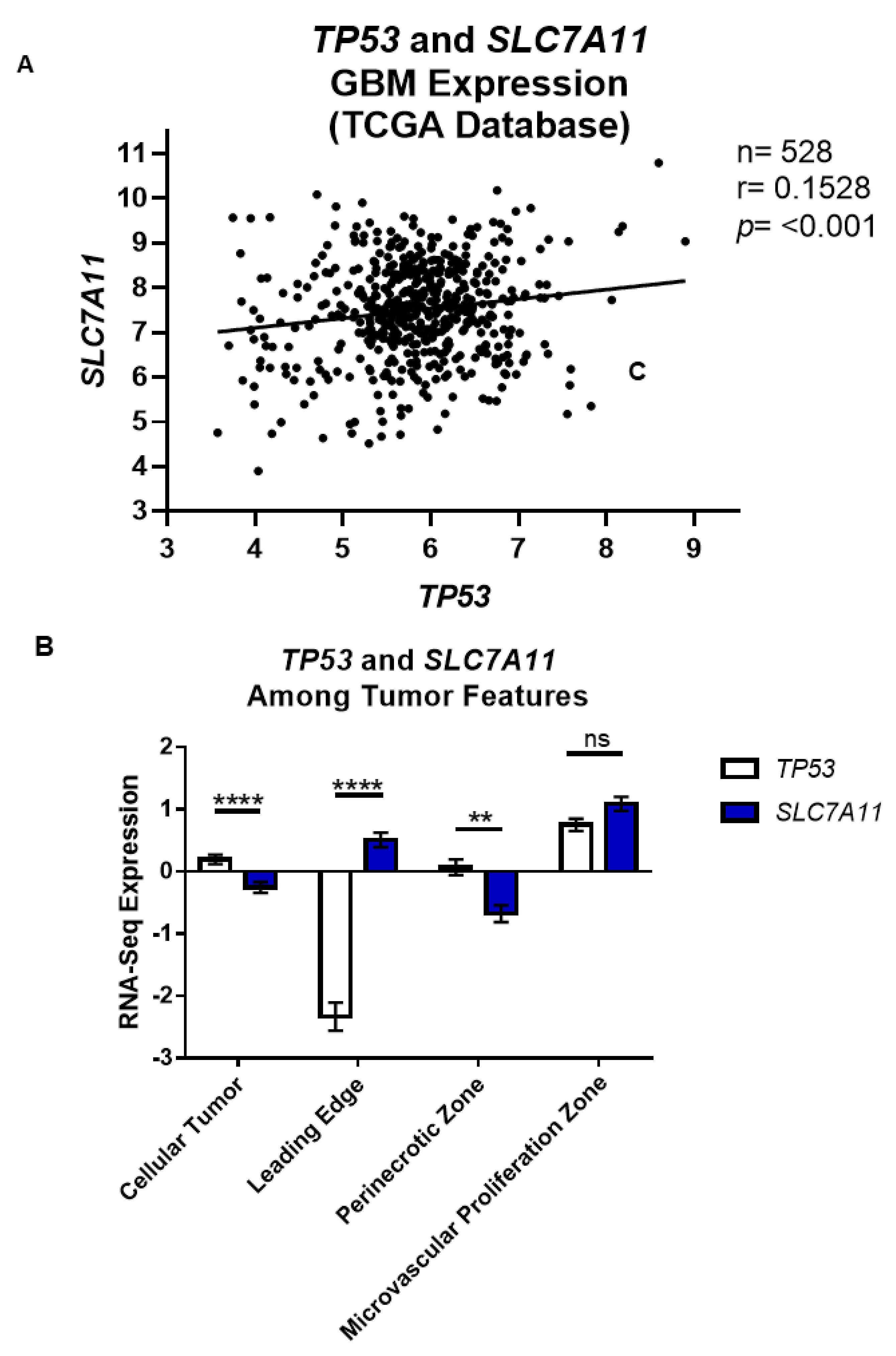 Cancers 13 06169 g002