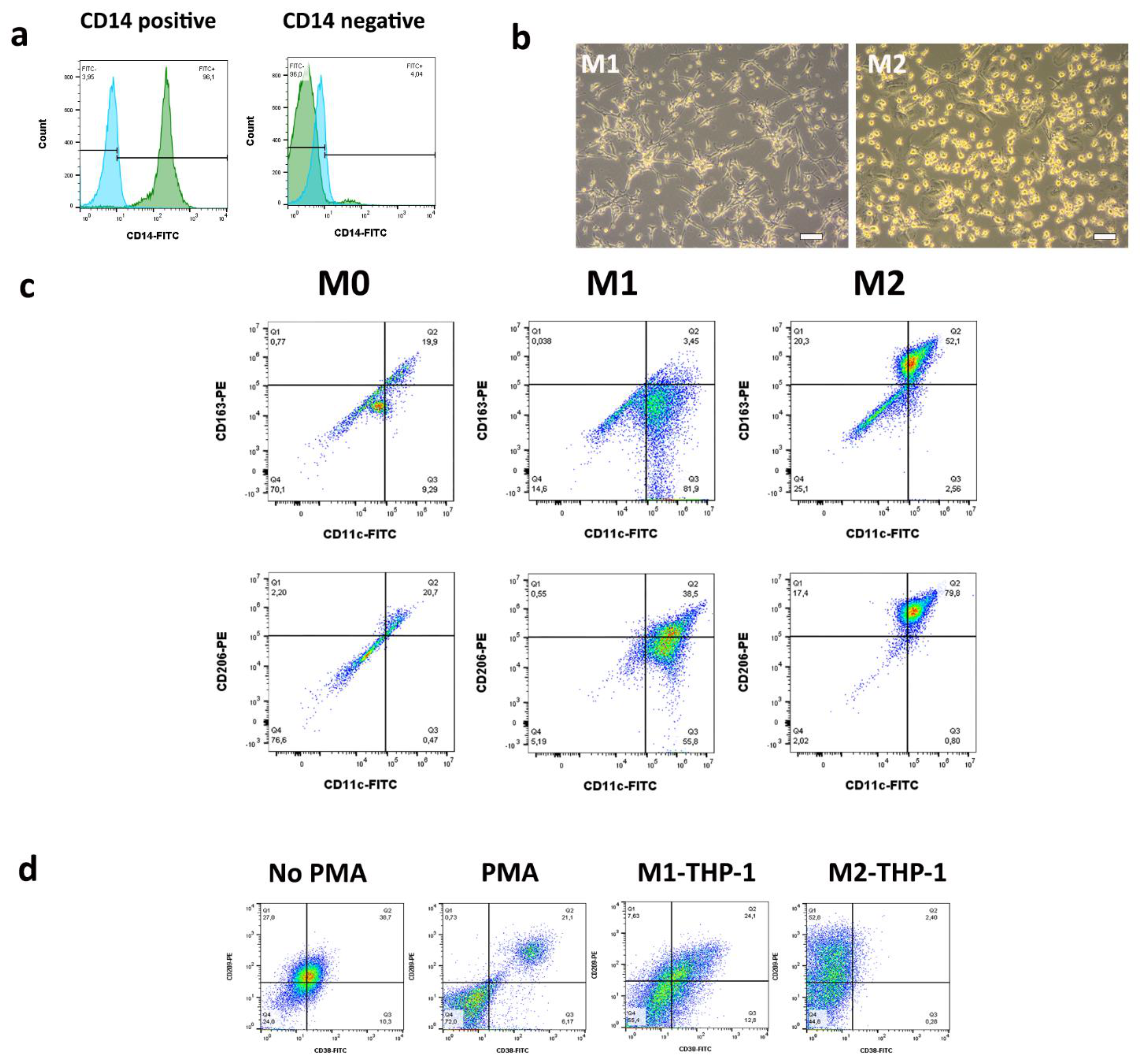 Cancers 13 06173 g001 Cancers 13 06173 g001
