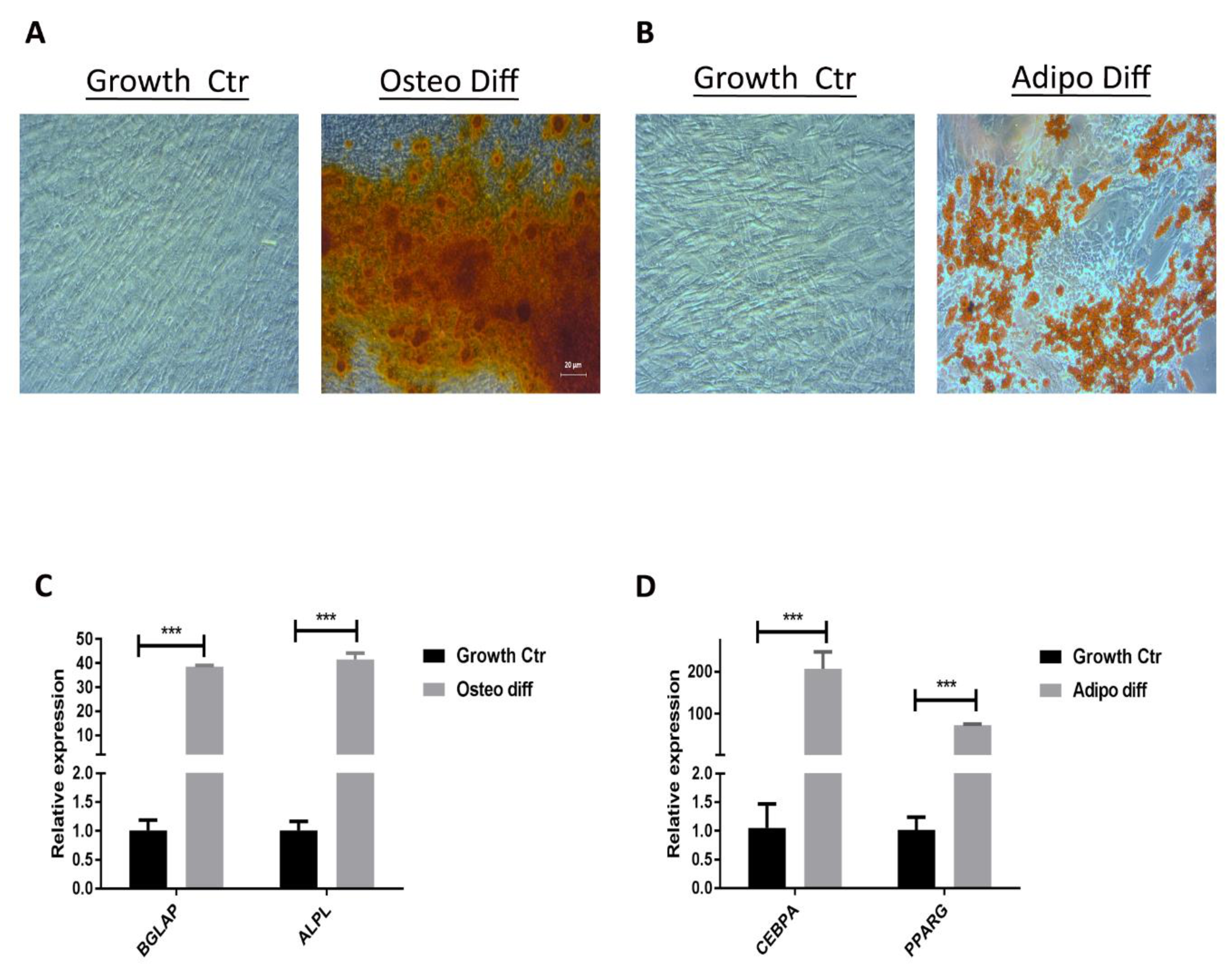 Cancers 13 06173 g003 Cancers 13 06173 g003