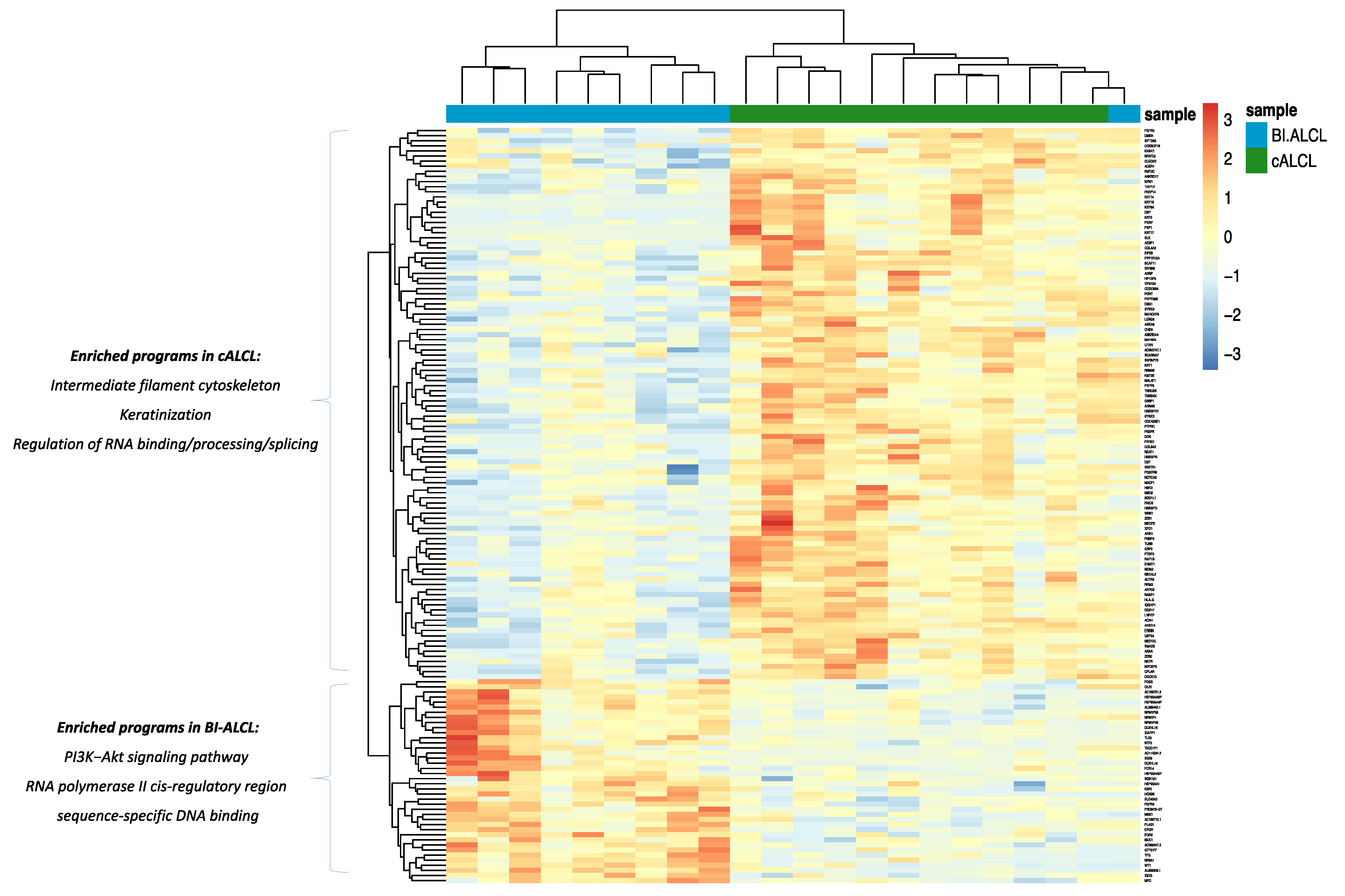 Cancers 13 06174 g004