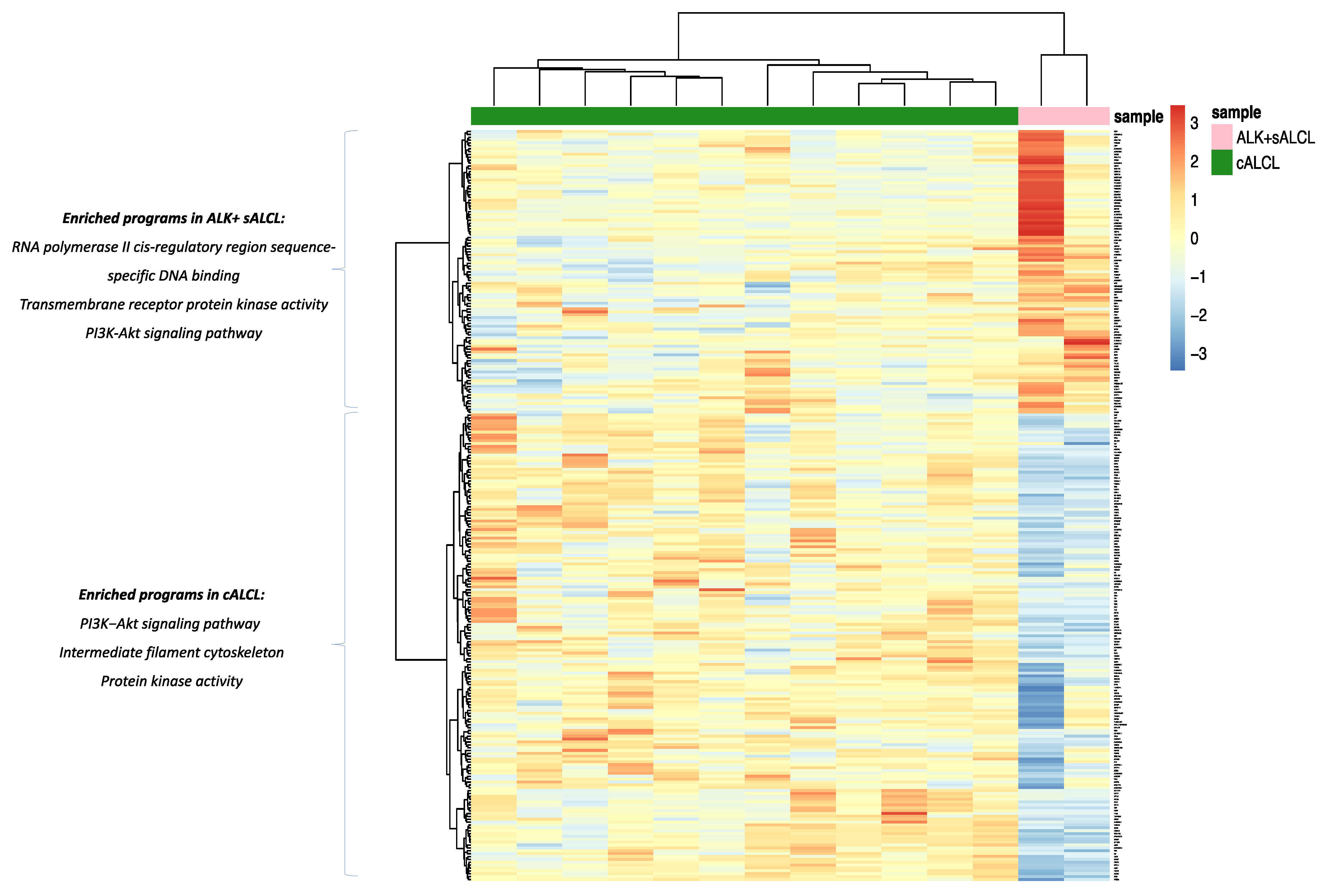 Cancers 13 06174 g006