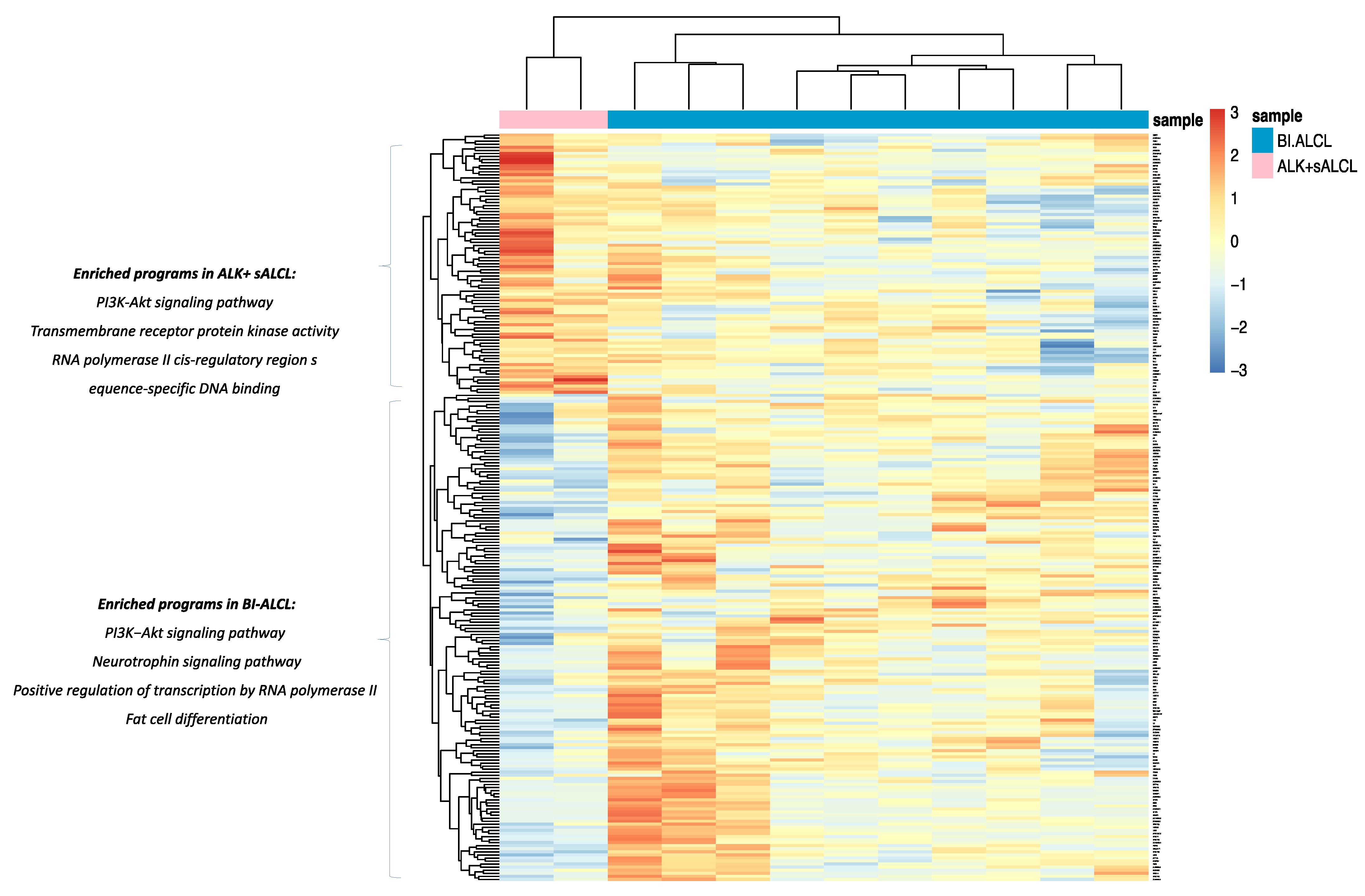 Cancers 13 06174 g007