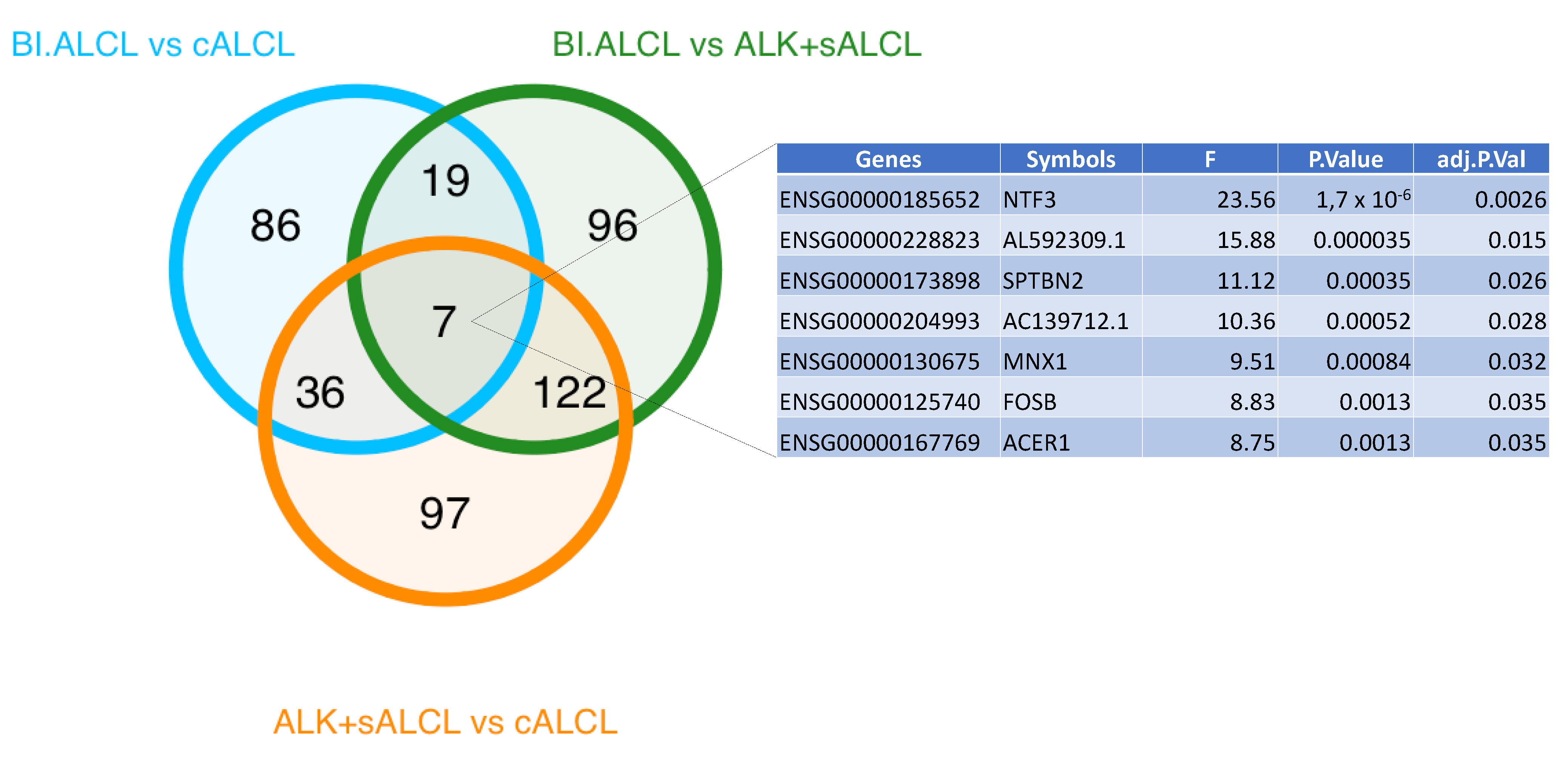 Cancers 13 06174 g008