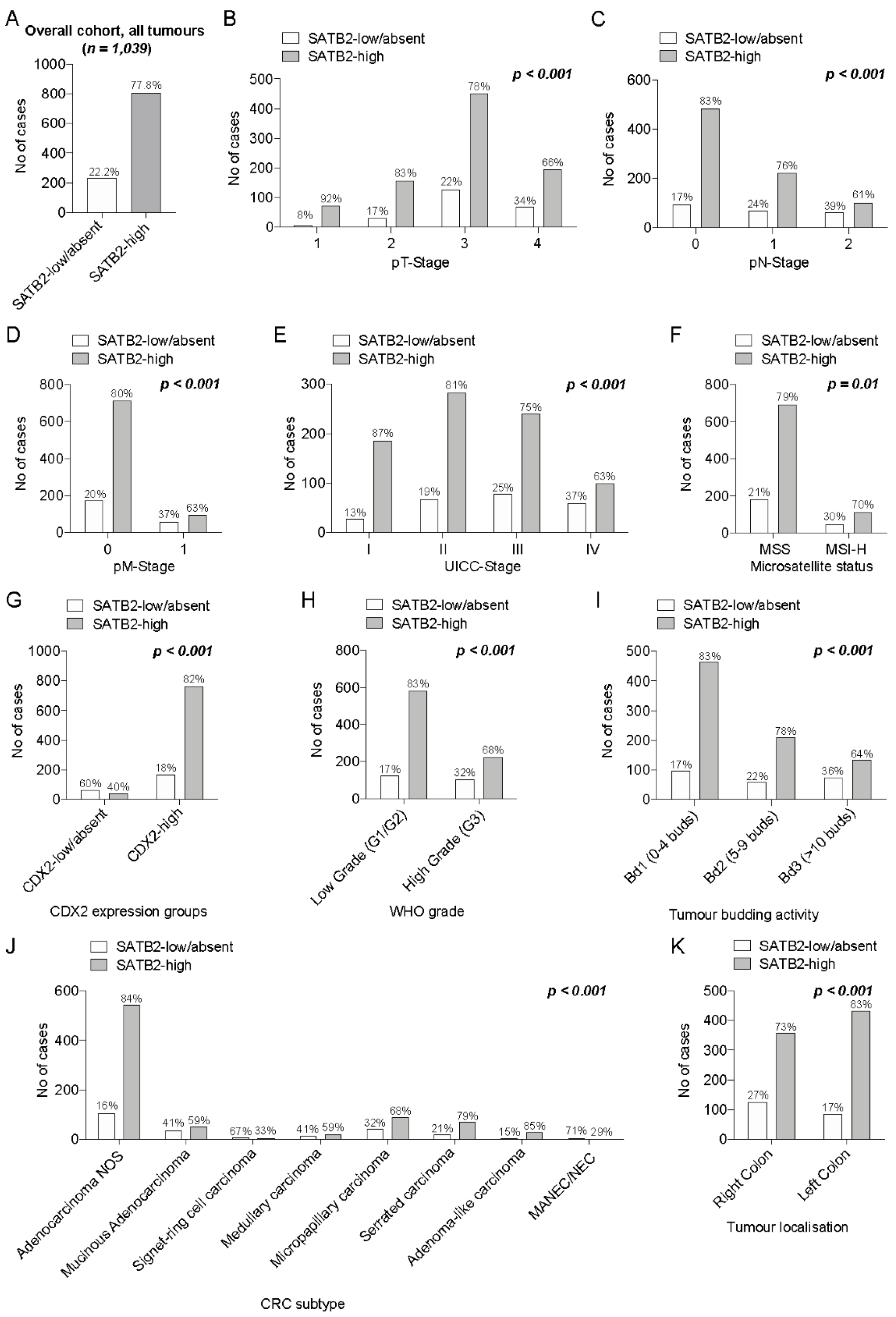 Cancers 13 06177 g002