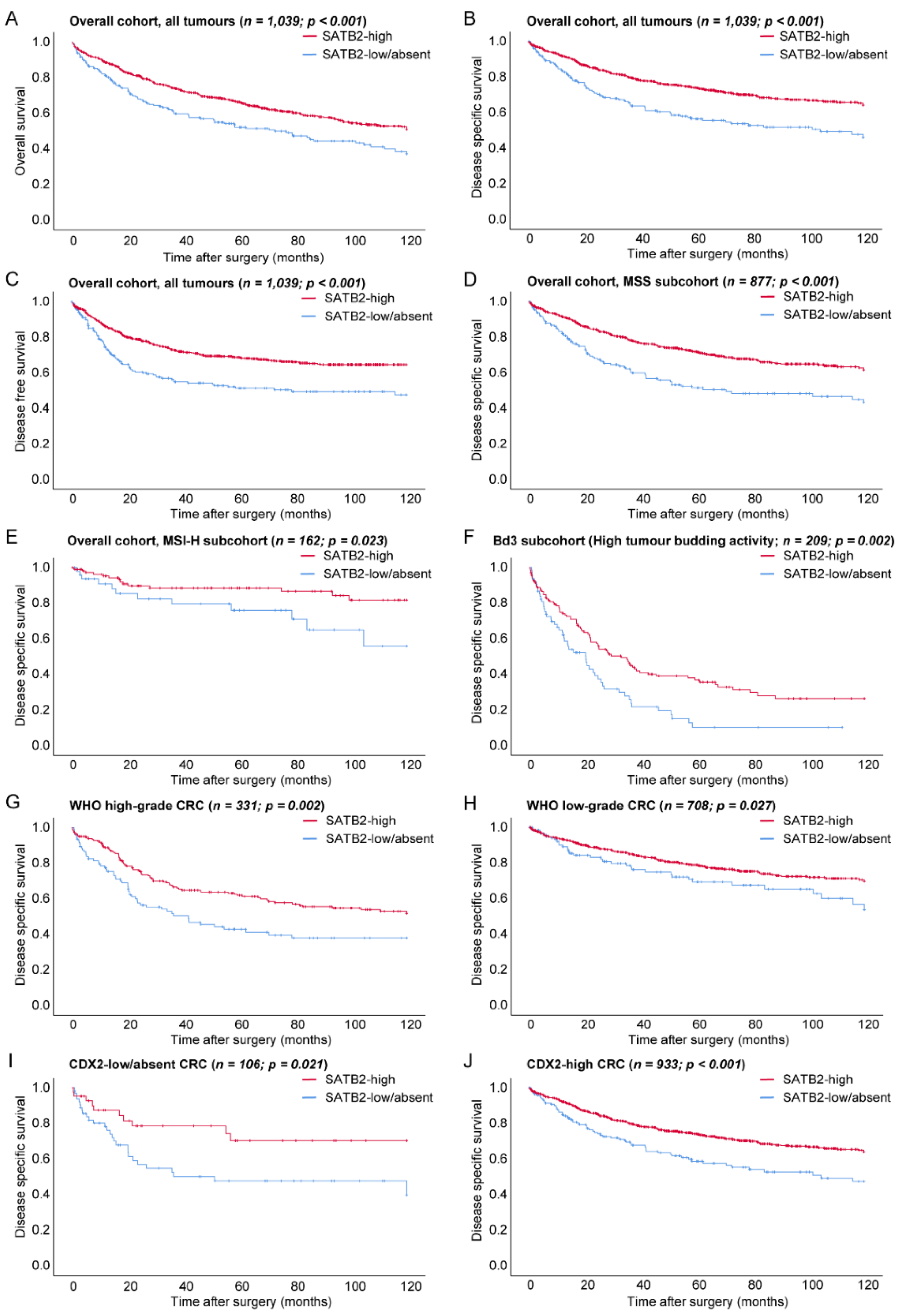 Cancers 13 06177 g003