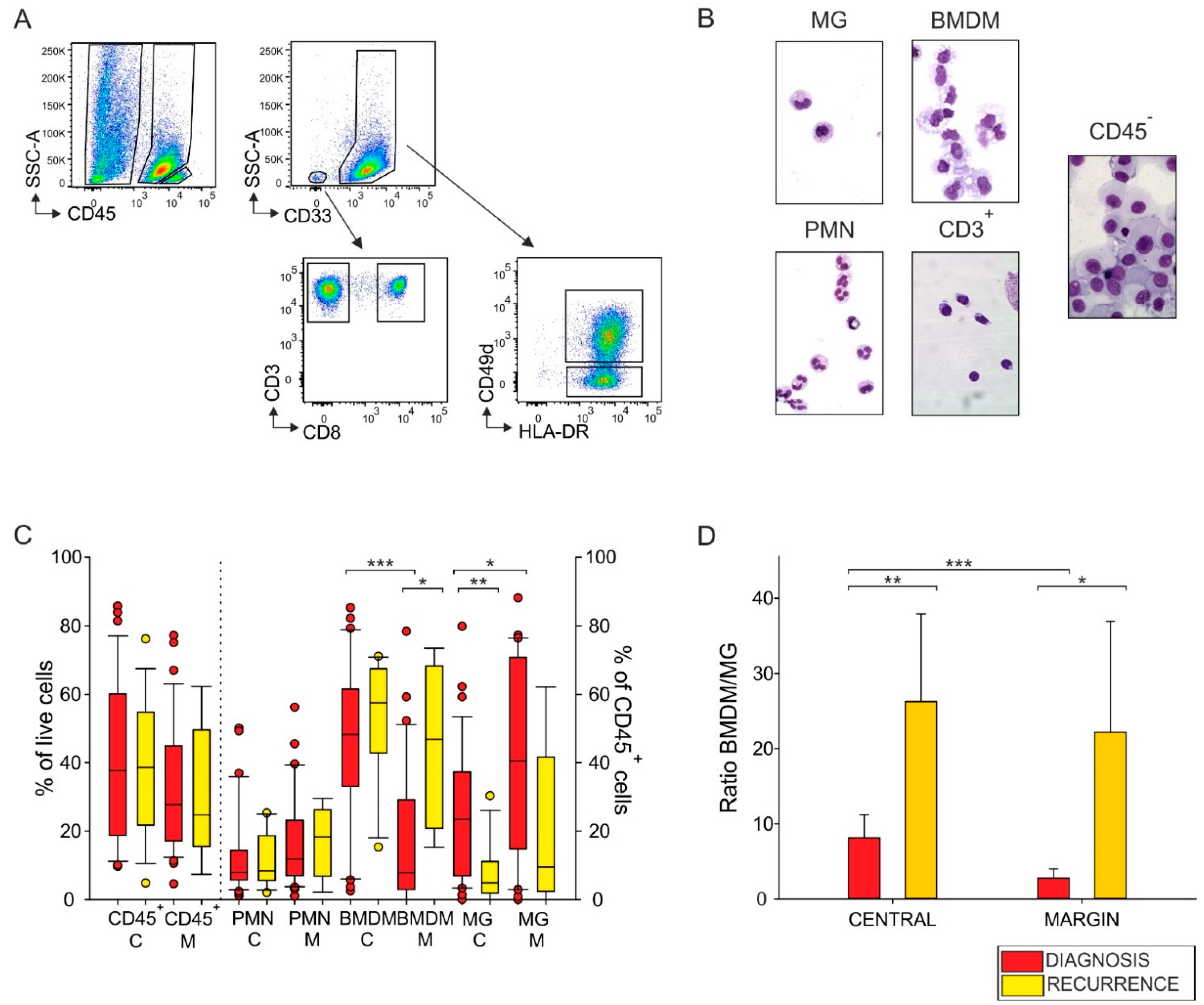 Cancers 13 06178 g001
