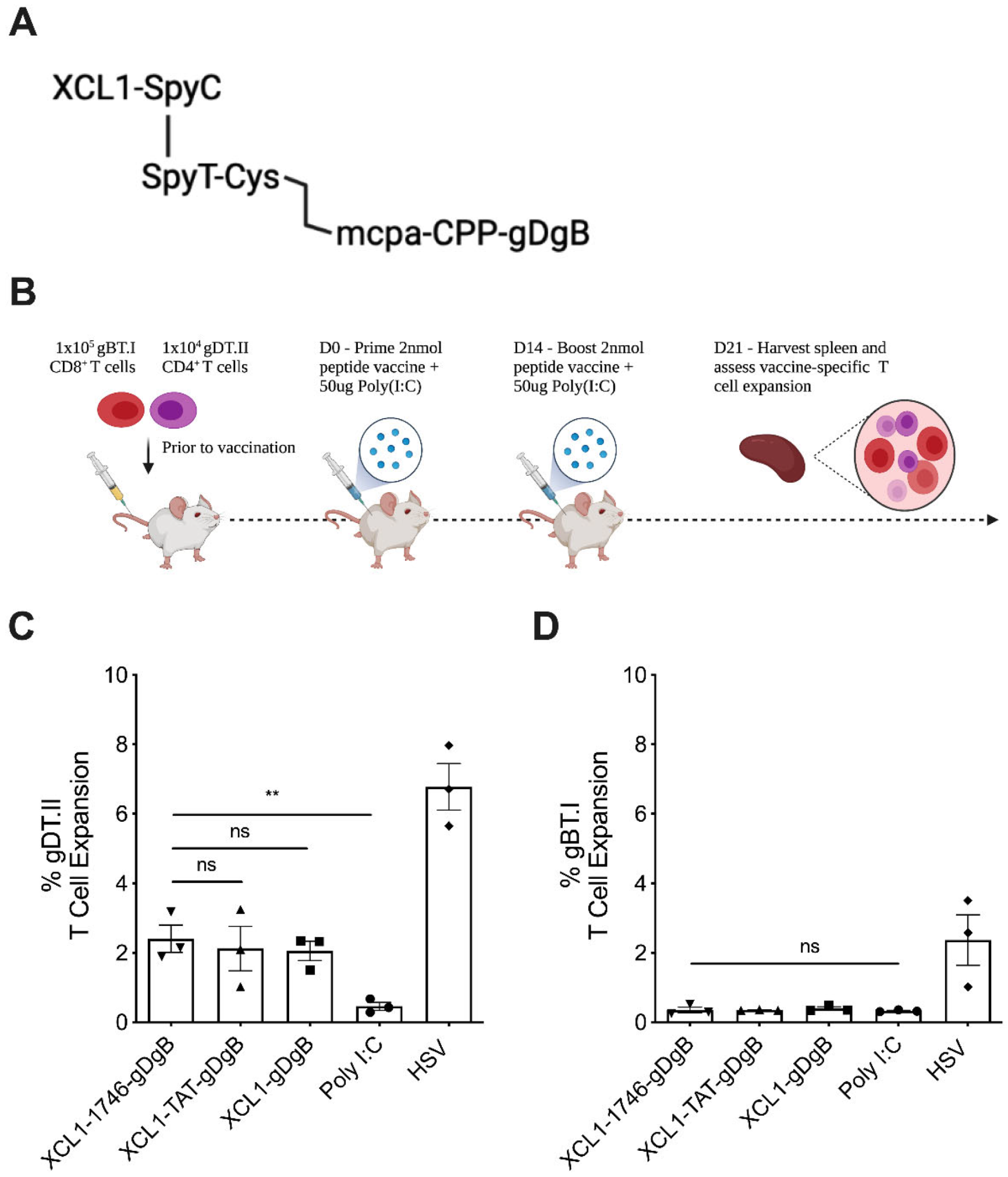 Cancers 13 06189 g001