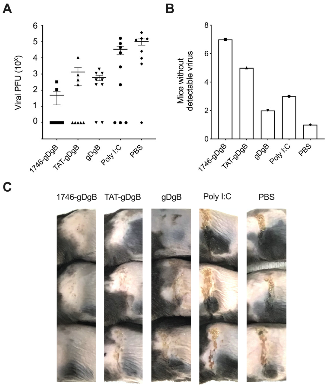 Cancers 13 06189 g004
