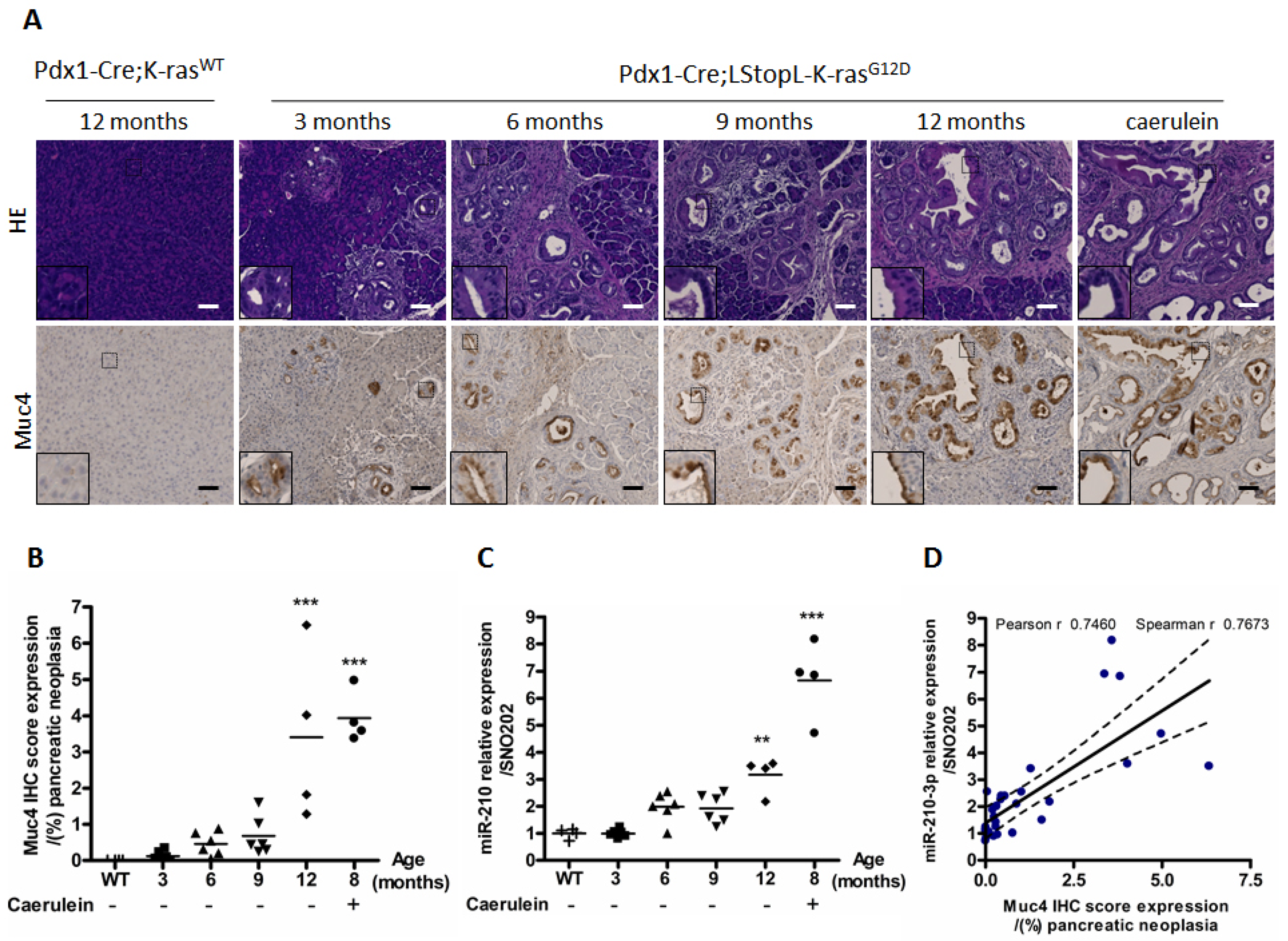 Cancers 13 06197 g002