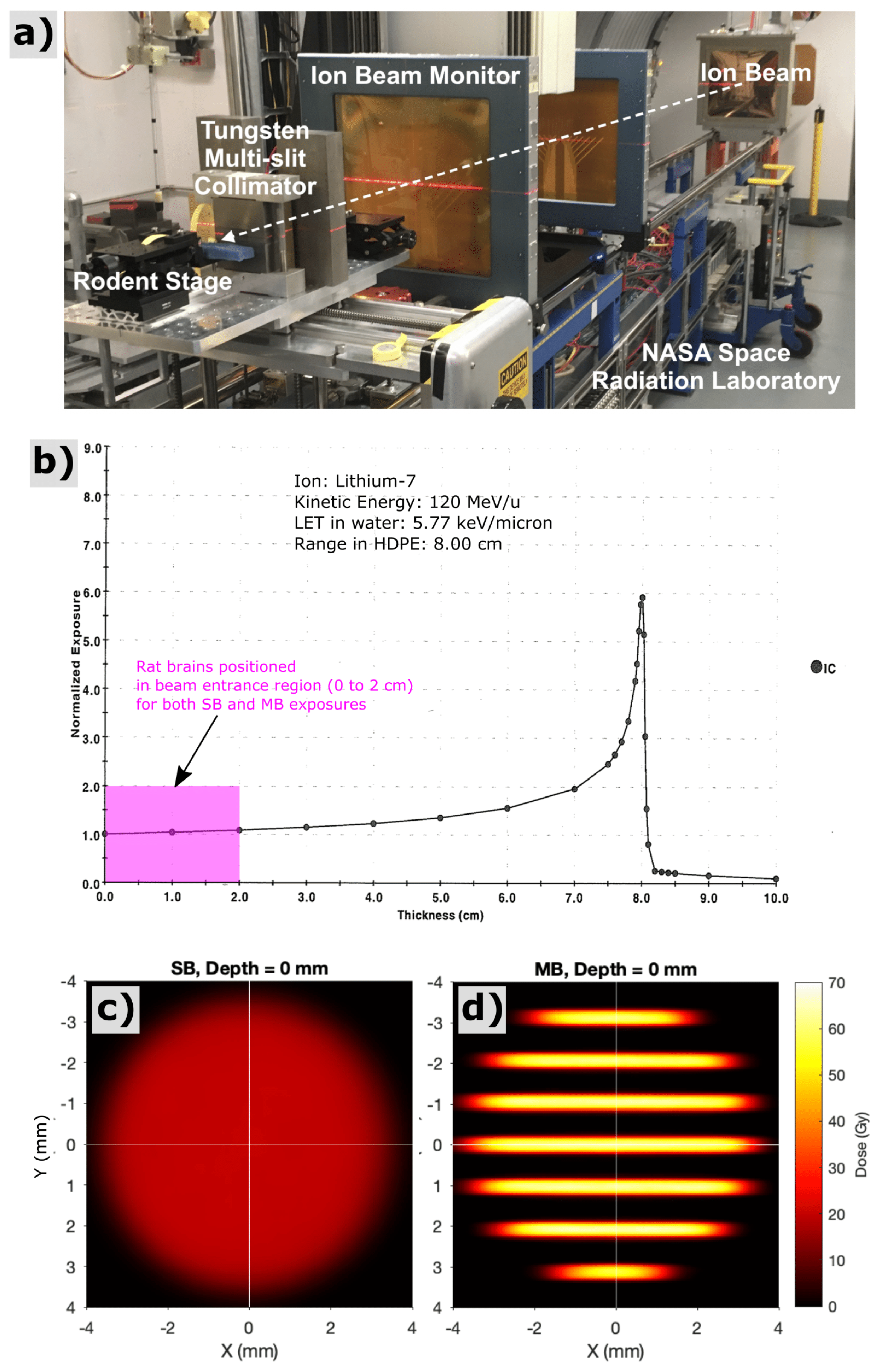 Cancers 13 06207 g001