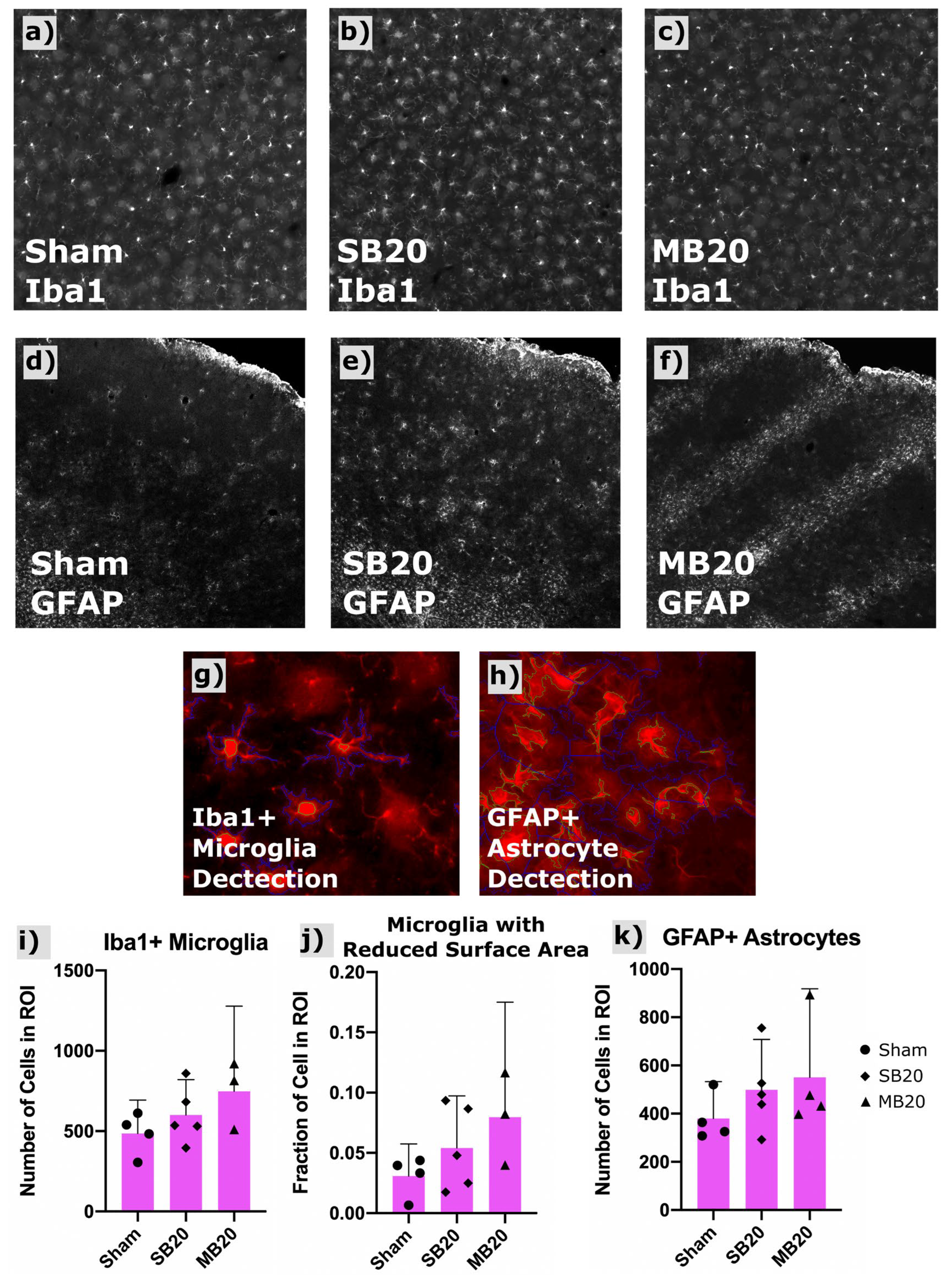 Cancers 13 06207 g004