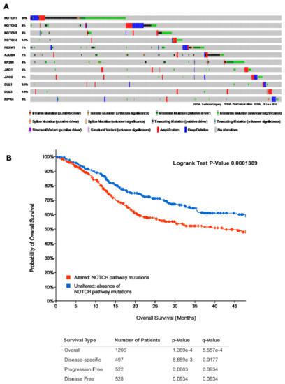 Cancers 13 06219 g003