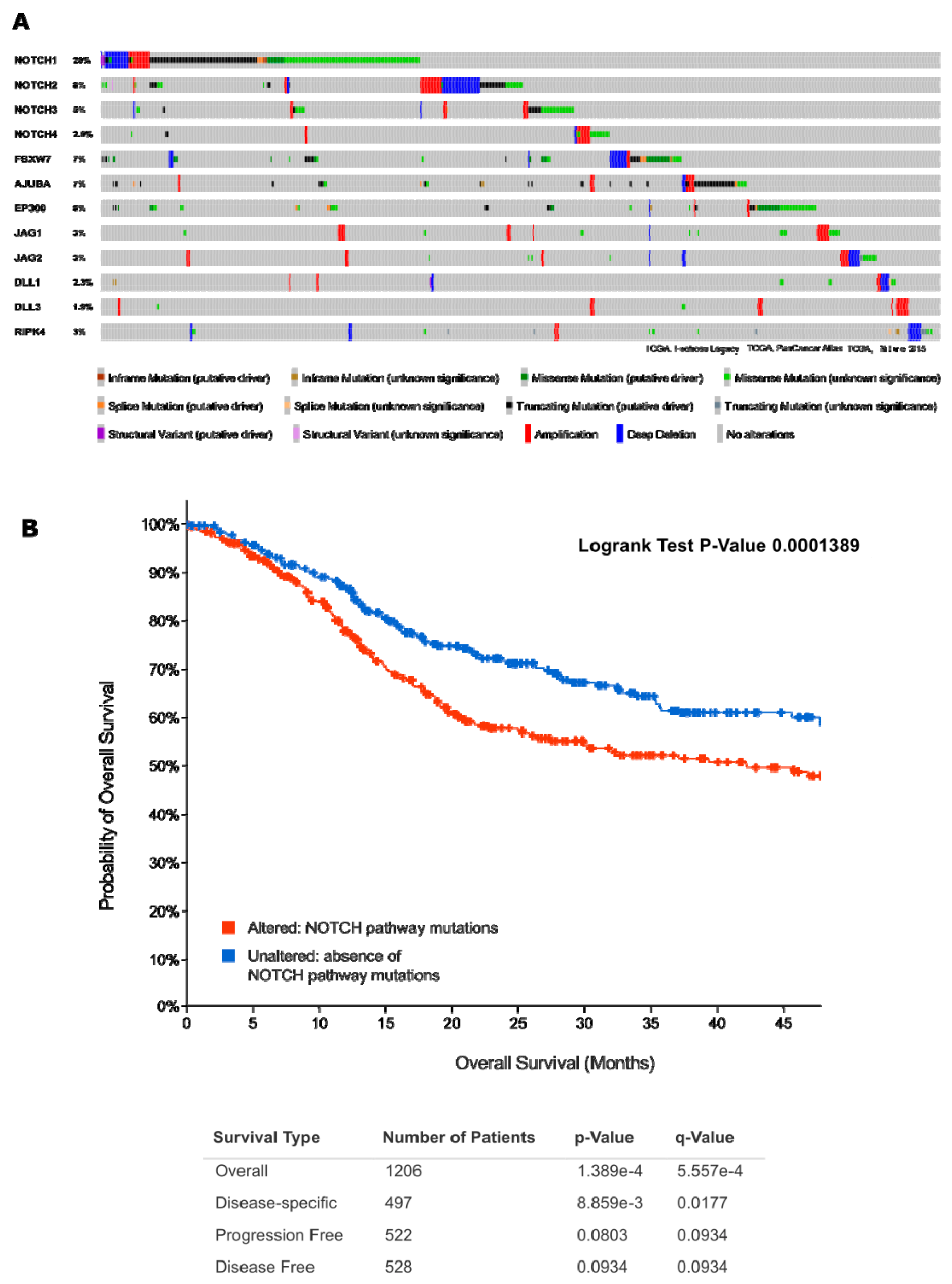 Cancers 13 06219 g003