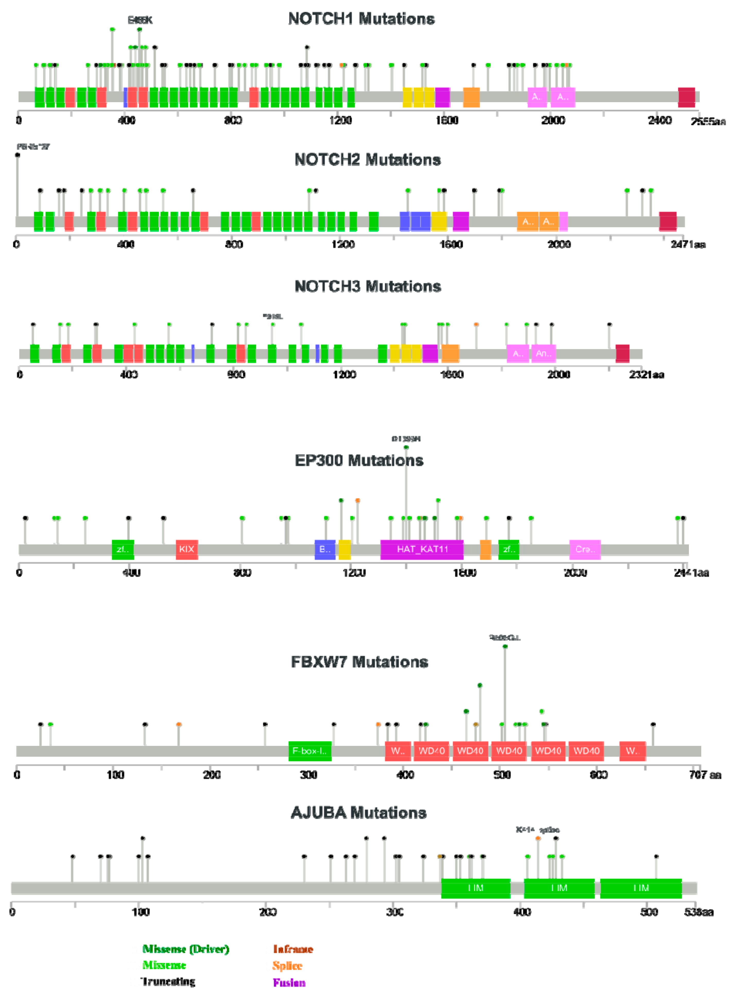 Cancers 13 06219 g005