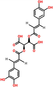 Cancers 13 06222 i002