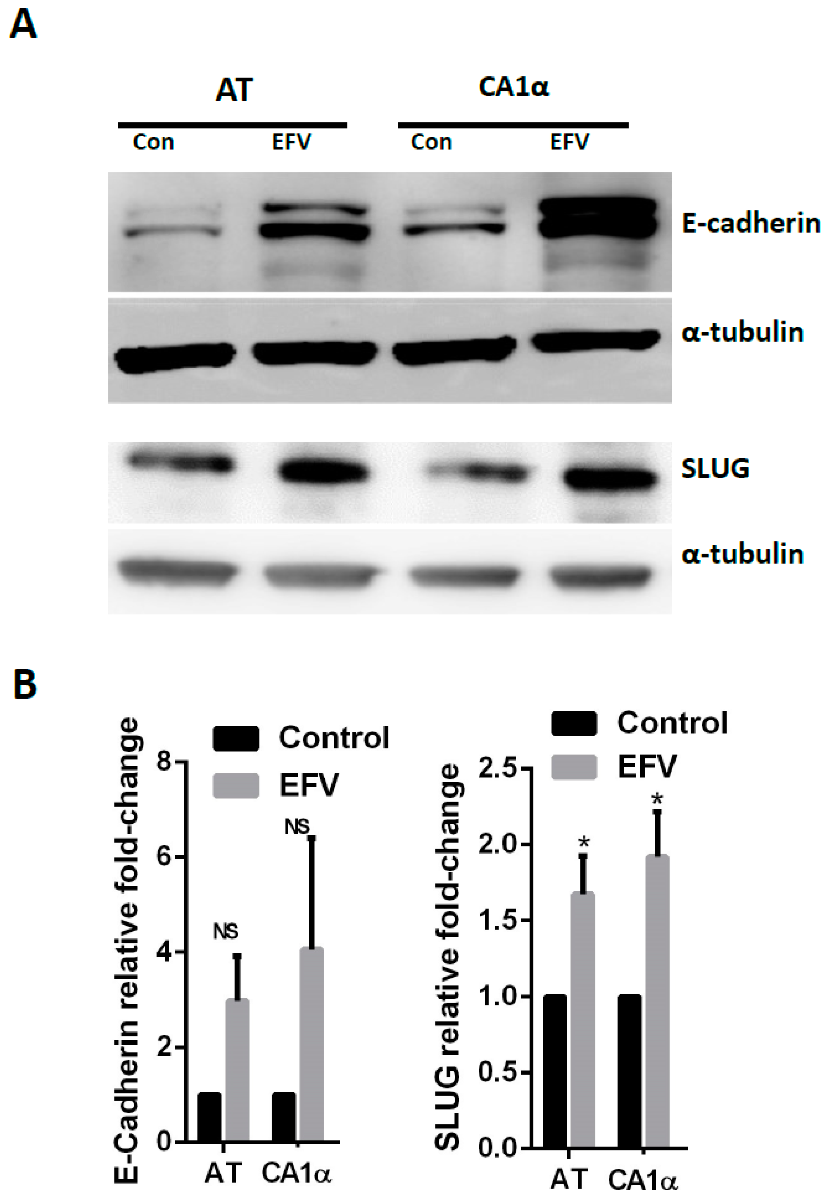 Cancers 13 06232 g002 Cancers 13 06232 g002