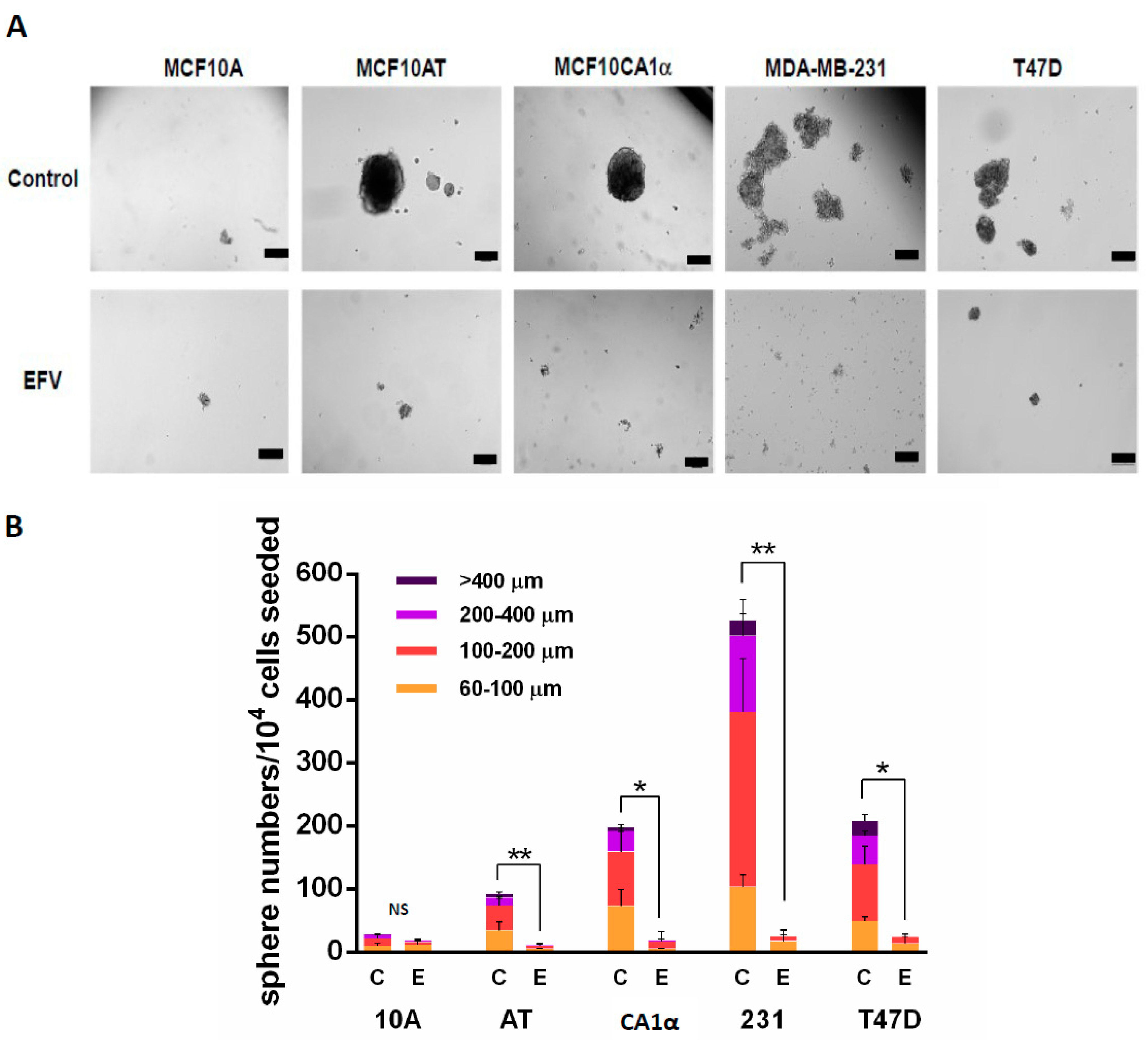 Cancers 13 06232 g005 Cancers 13 06232 g005