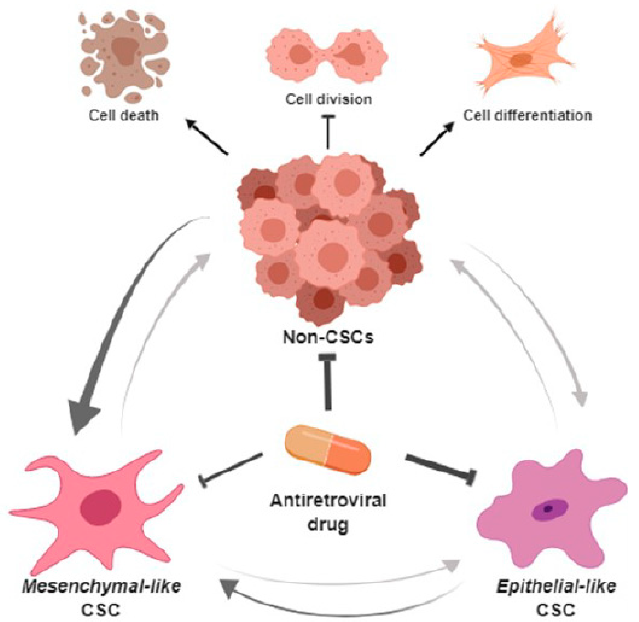 Cancers 13 06232 g006 Cancers 13 06232 g006