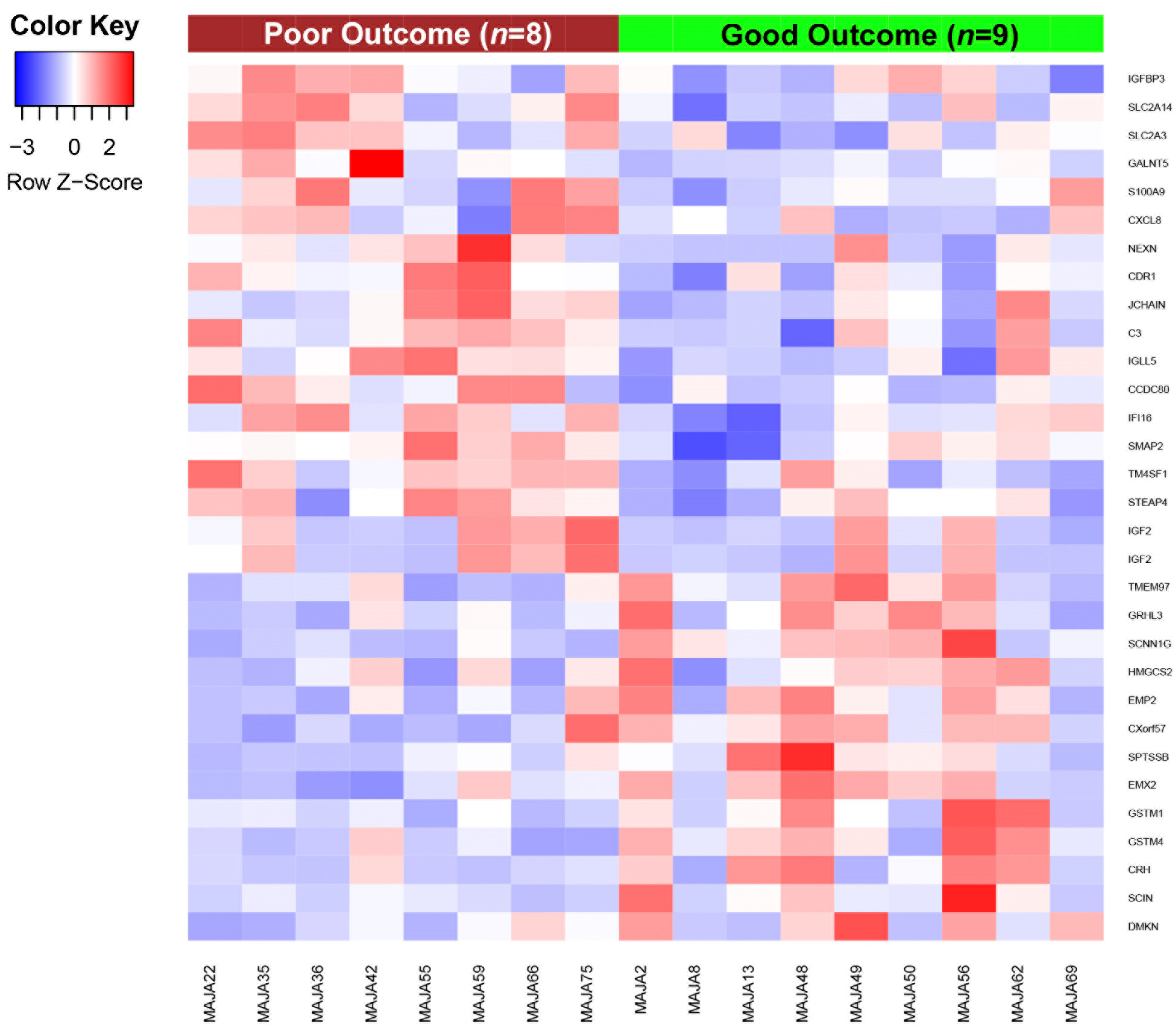 Cancers 13 06235 g001