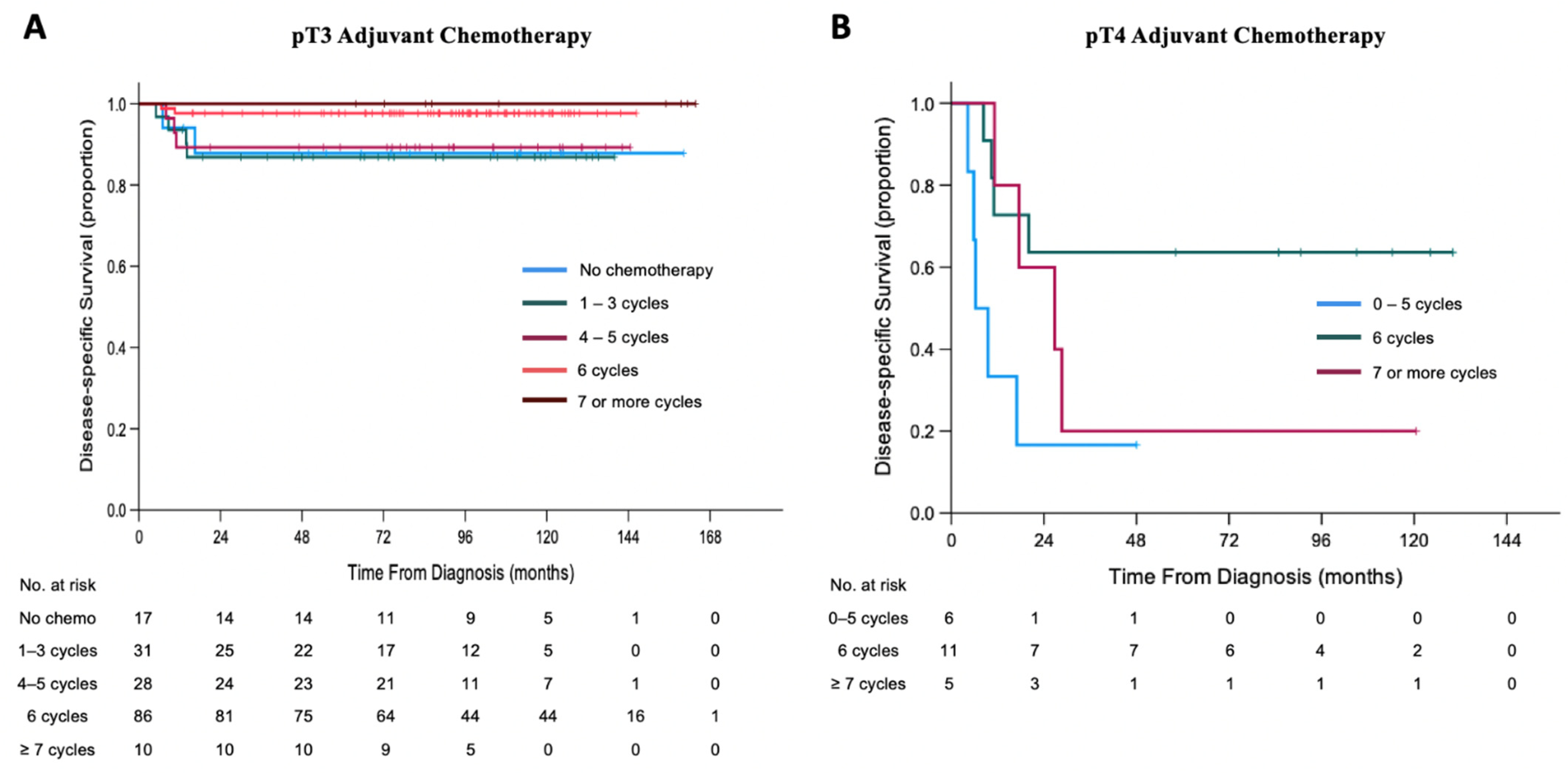 Cancers 13 06240 g003