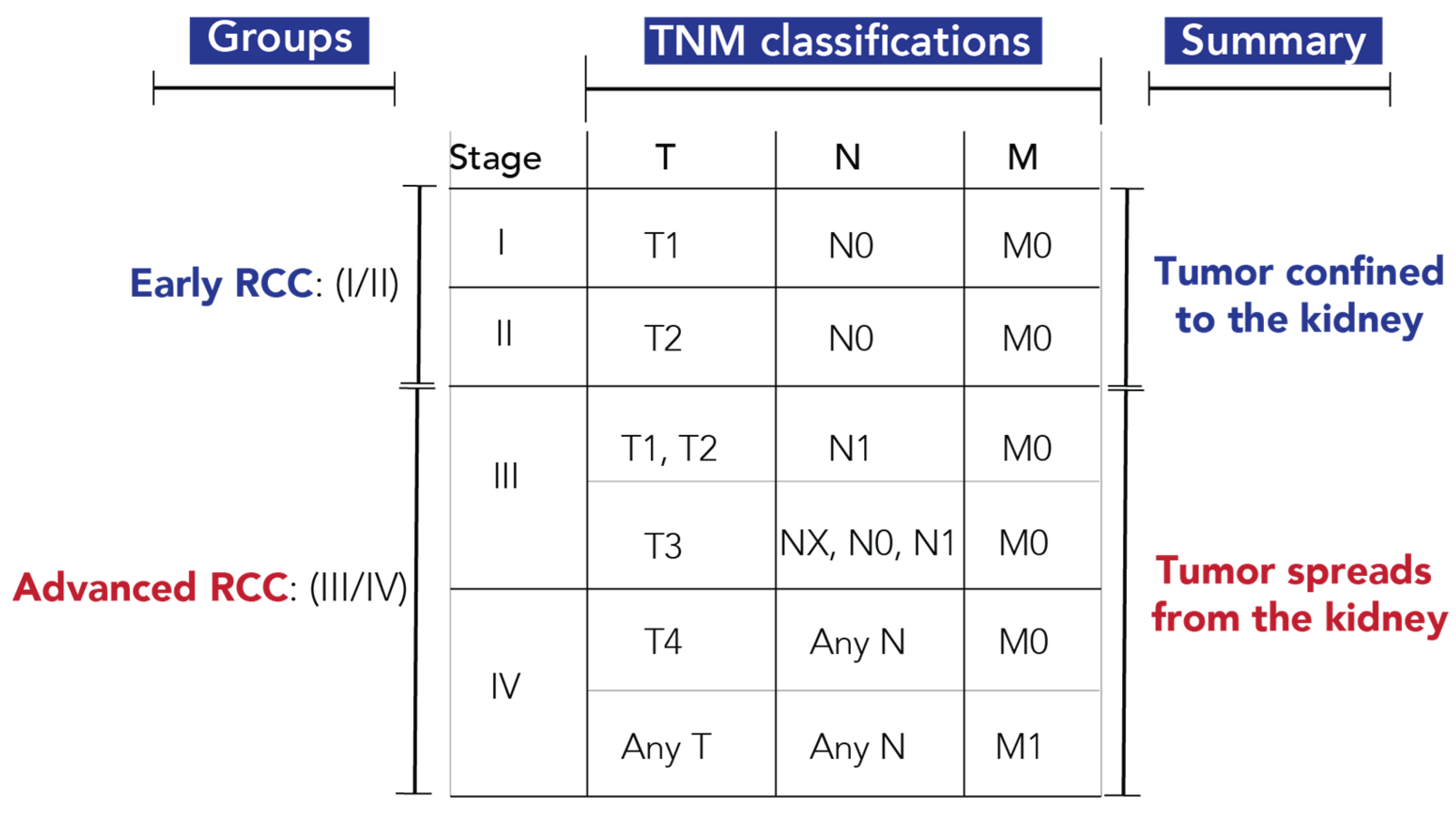 Cancers 13 06253 g001